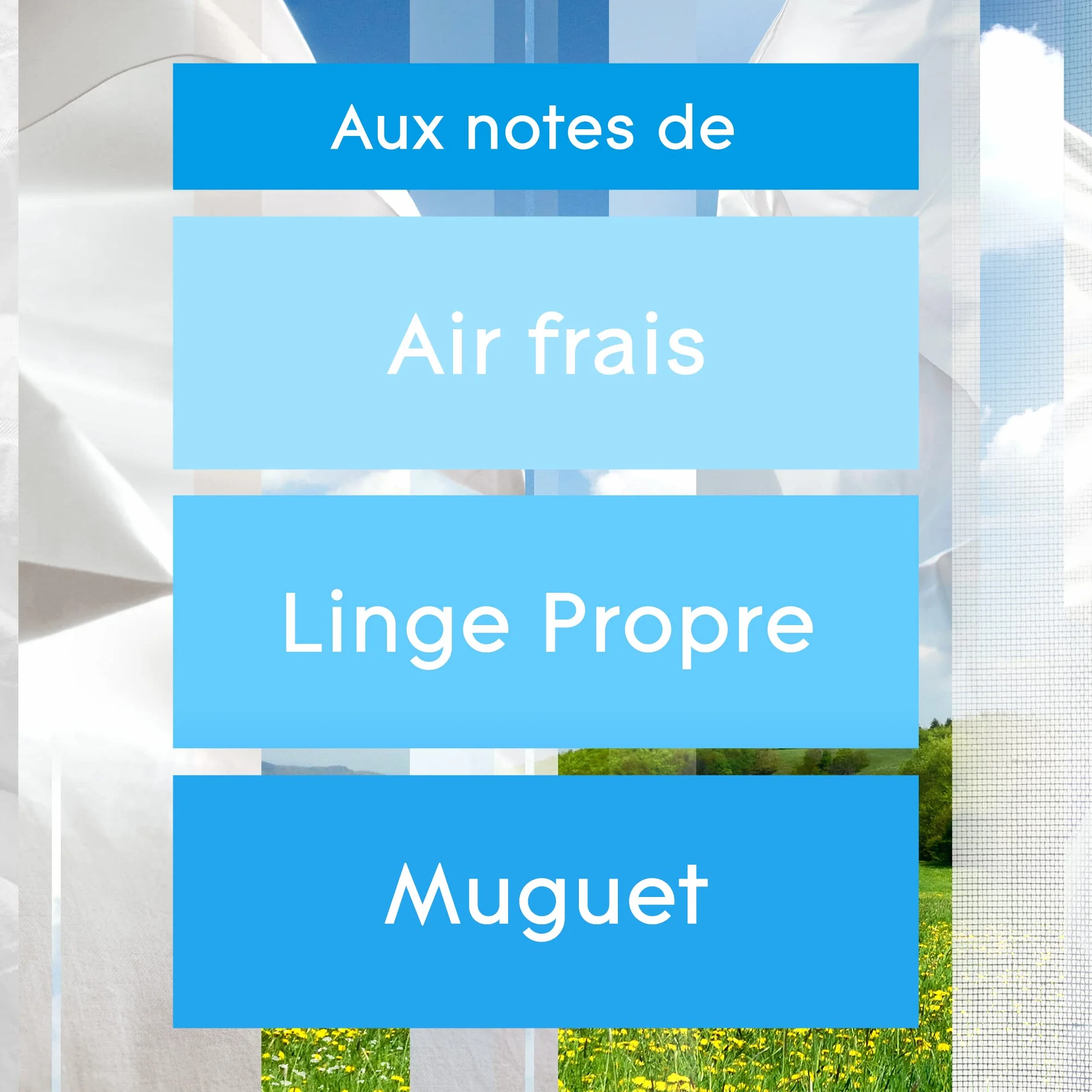 Glade Sense et Spray Recharge Duopack Diffuseur à Détection de Mouvement Infusé Aux Huiles Essentielles Pure Clean Linen