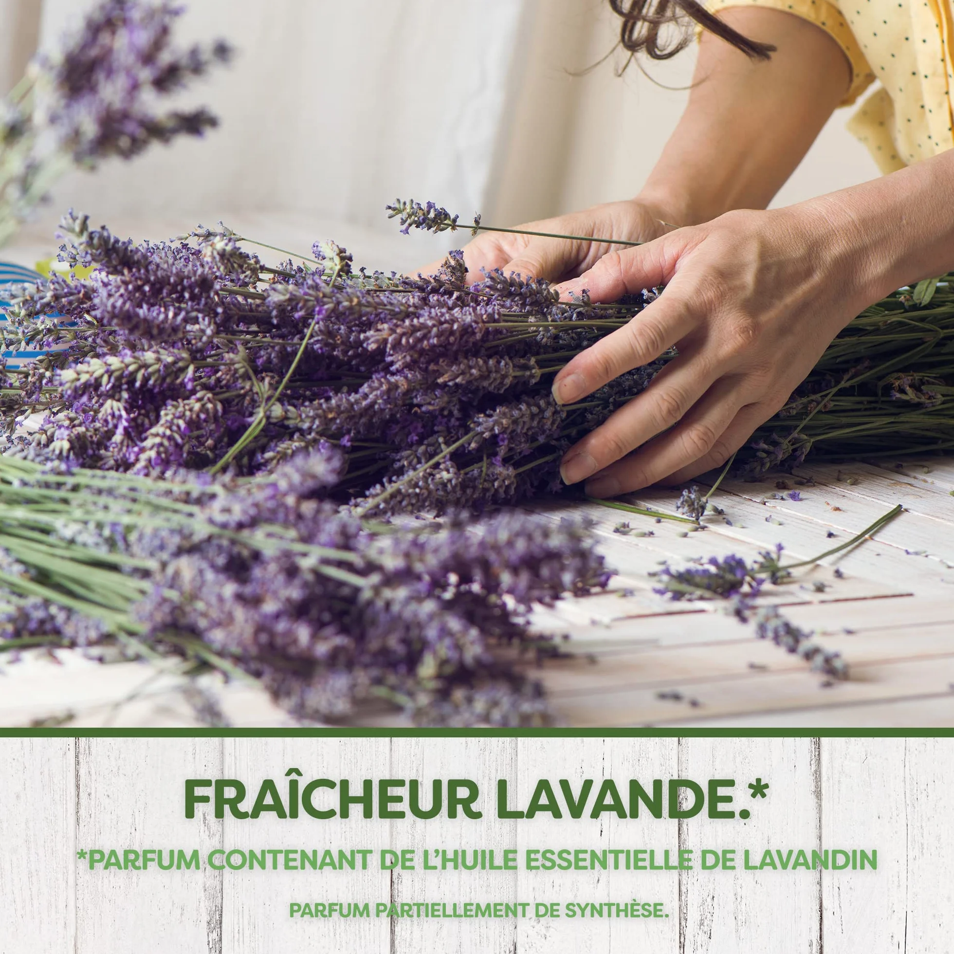 Pyrel Sachets Parfumes Fraicheur Lavande Huile Essentielle Lavandin