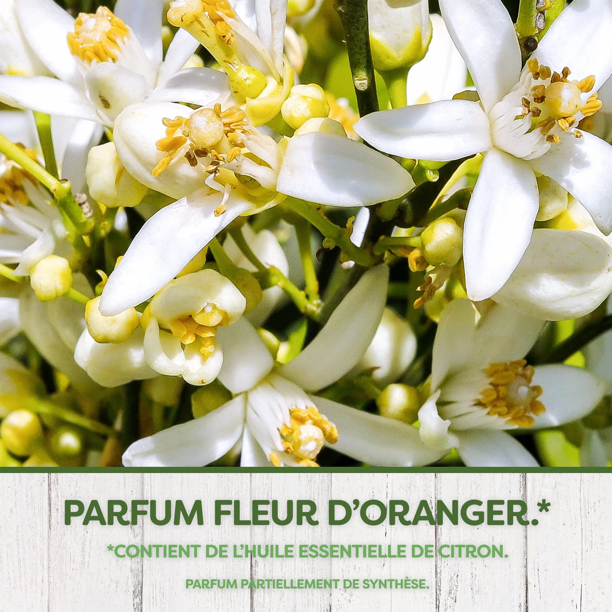 Pyrel Sachets Parfumes Fleur D'Oranger Huile Essentielle De Citron