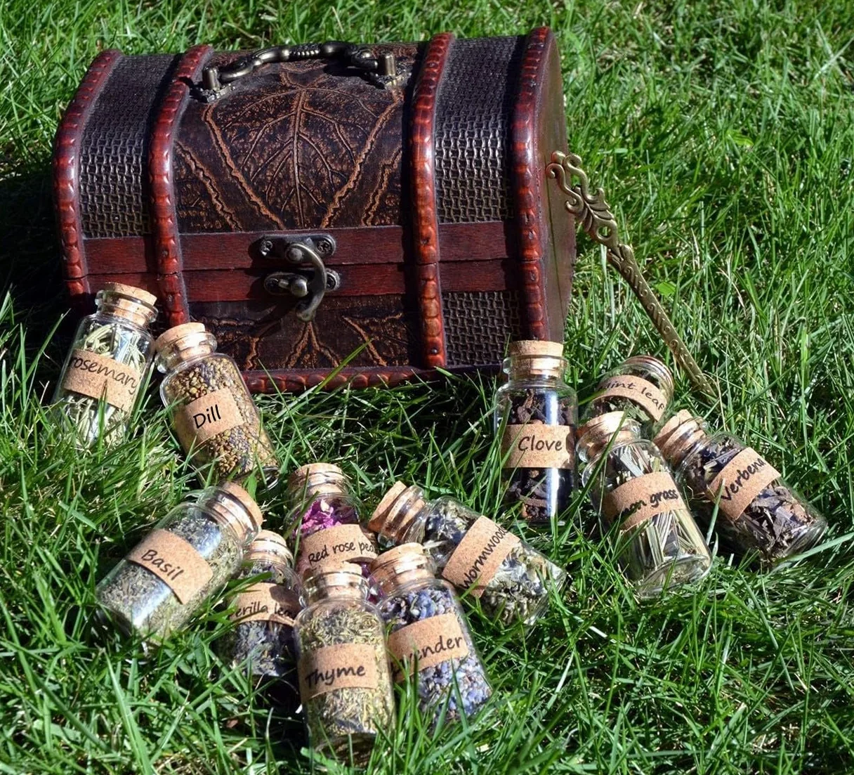 Coffret d’Herbes Séchées Naturelles – 100% Plantes Aromatiques en Flacons Verre avec Bouchon & Pince Vintage – Kit Cadeau pour Rituel, Sorcière, DIY, Aromathérapie, Déco (12 Flacons d’Herbes)