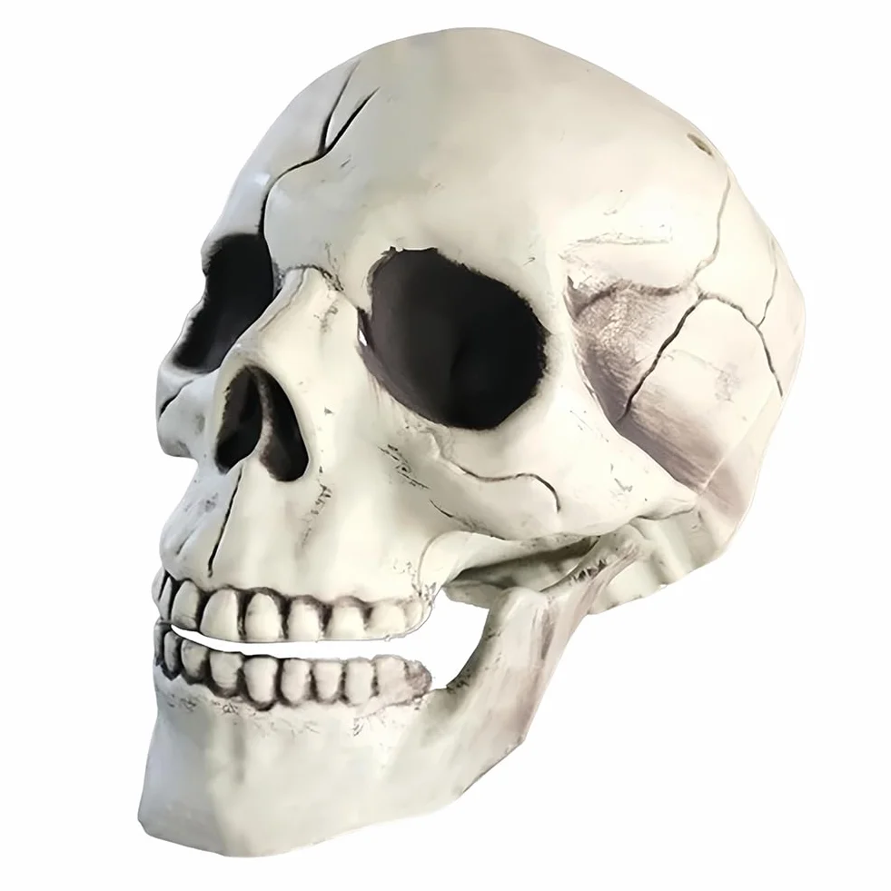 Squelette Crâne Halloween Décoration Tête En Plastique Modèle Pour Fête Effrayante