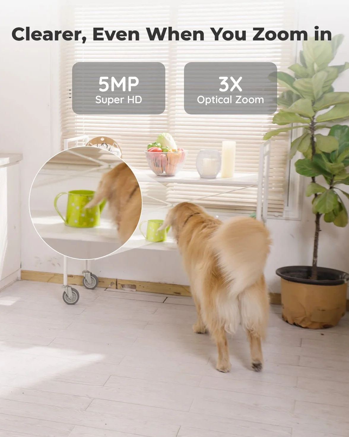 Reolink 5MP PTZ Wewnętrzna Kamera WiFi, 2.4/5 GHz WiFi CCTV z Detekcją AI Osób/Zwierząt, Auto-Śledzeniem, 3X Zoomem, Kamera Bezpieczeństwa dla starszych, zwierząt, dzieci, 2-kierunkowe Audio, E1 Zoom