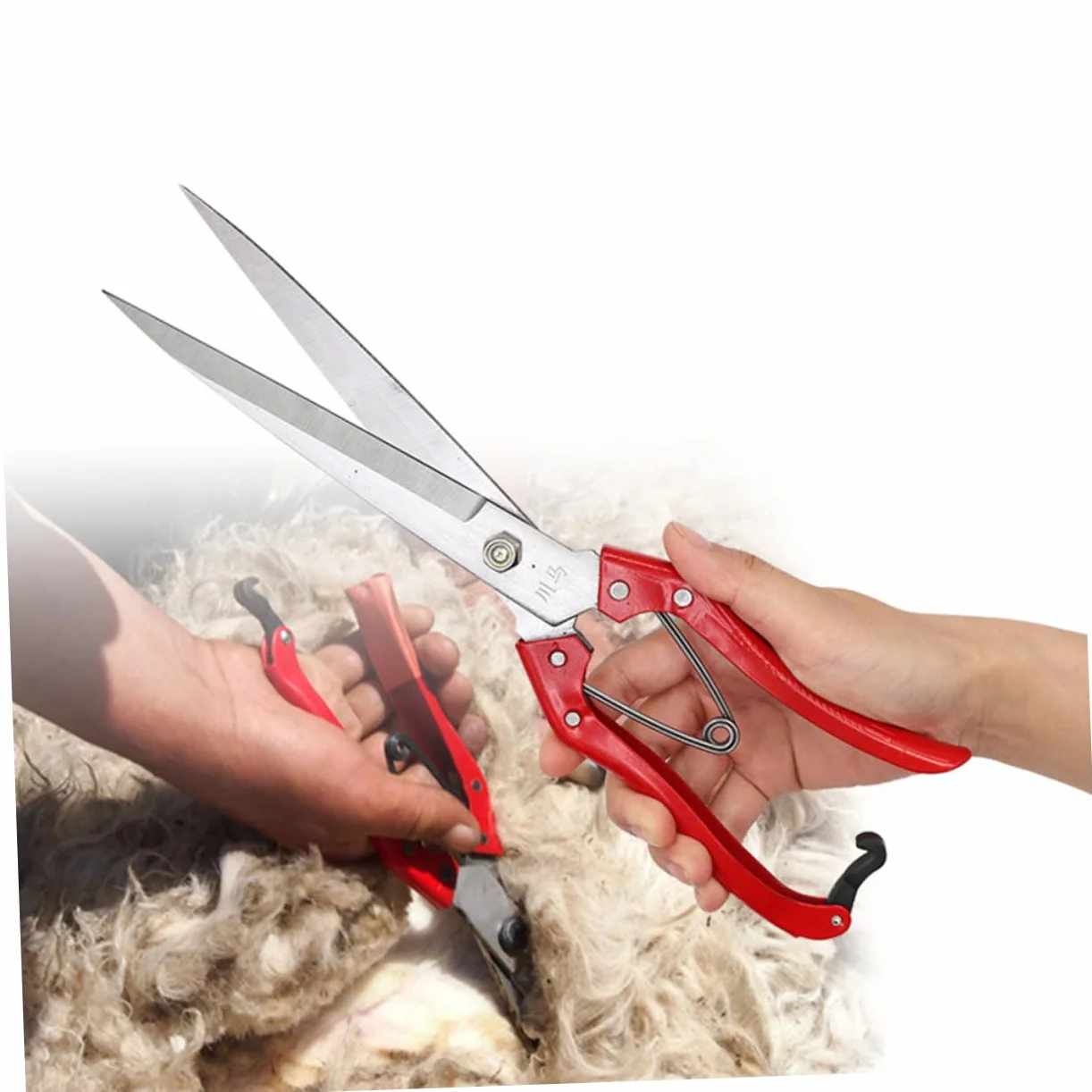 Ciseaux De Laine Pour Mouton Outils De Coiffure Animaux Toilettage