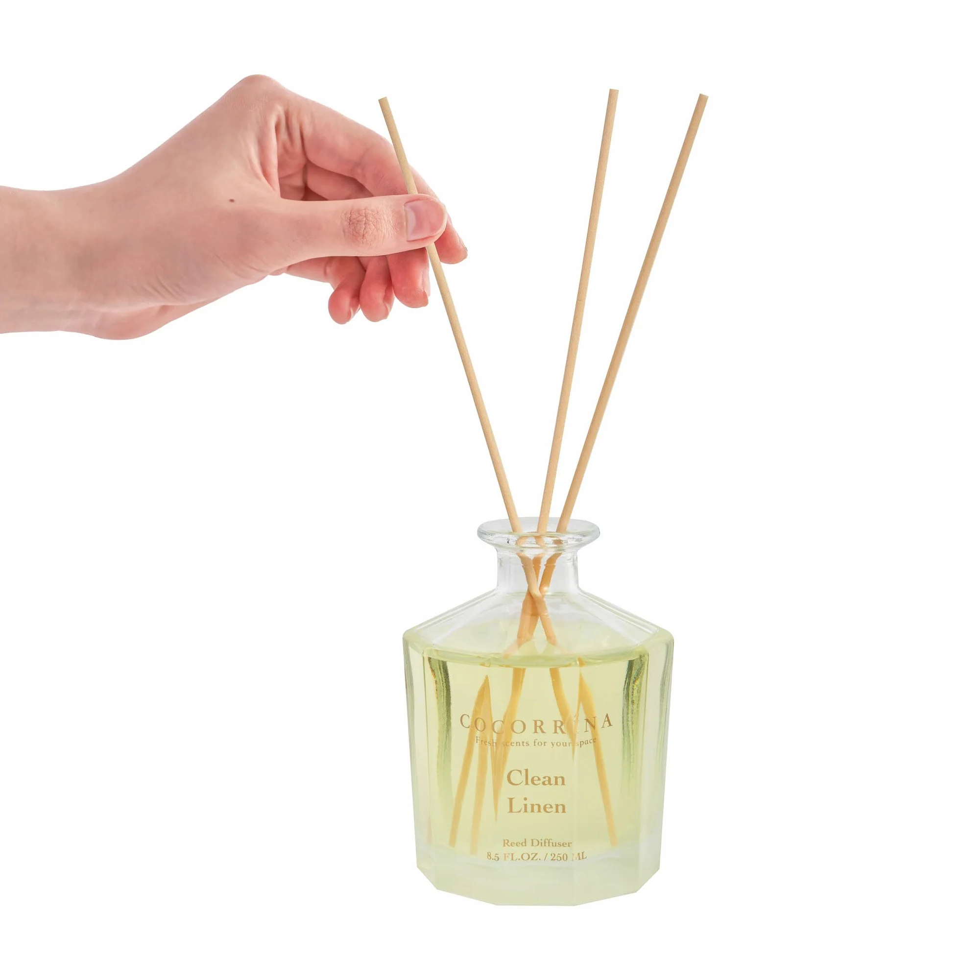 COCORRÍNA Reed Diffuser Linge Propre 250ml 8 Bâtonnets Diffuseur Parfum Maison