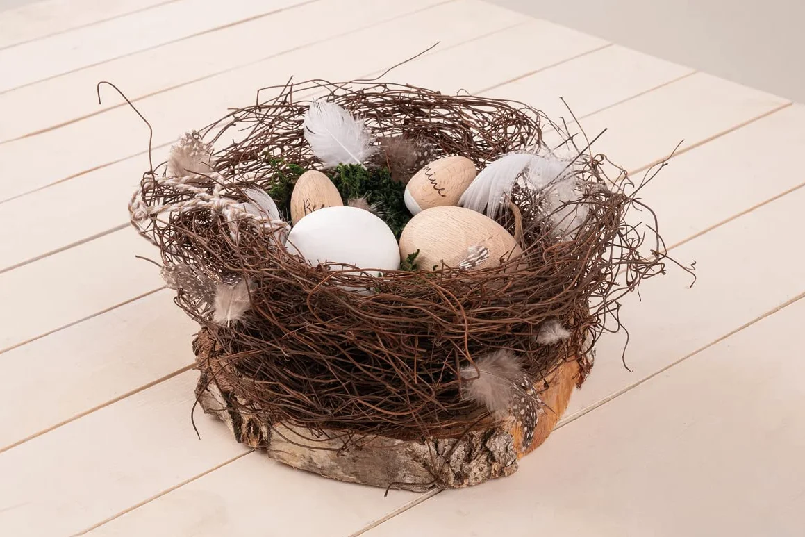 Rayher Brindilles nid d’oiseau, Mühlenbeckia naturelle séchée, 50g, brun