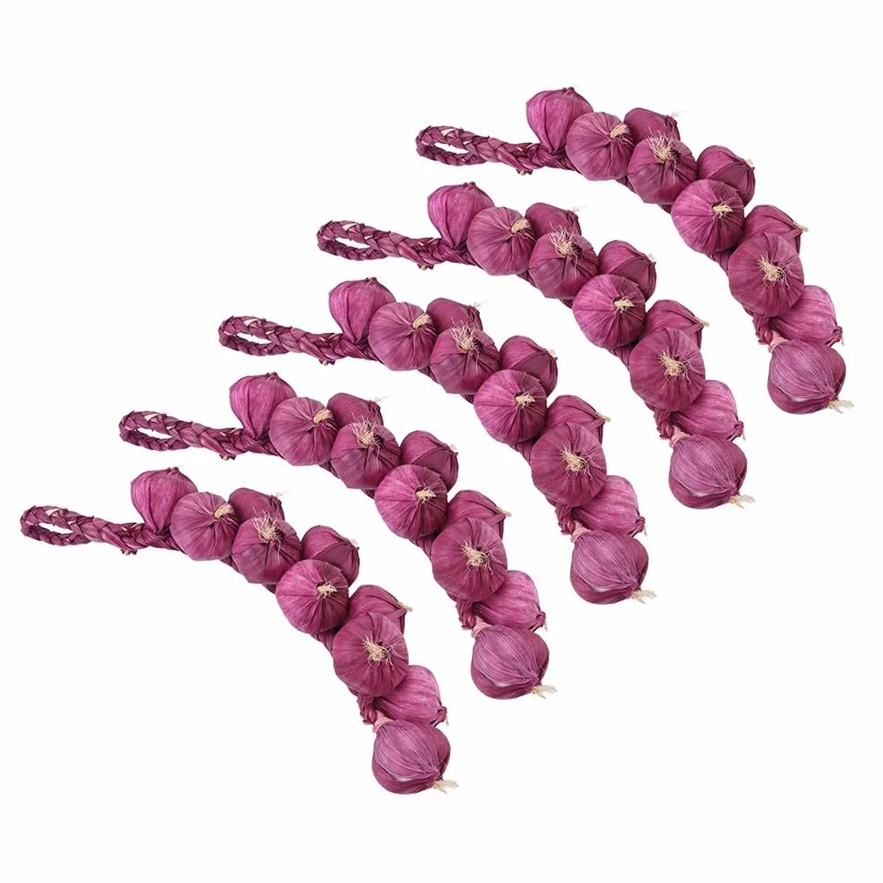 Guirlande d'ail violet décorative, pendentif en céramique, lot de 5 pièces pour salle à manger maison