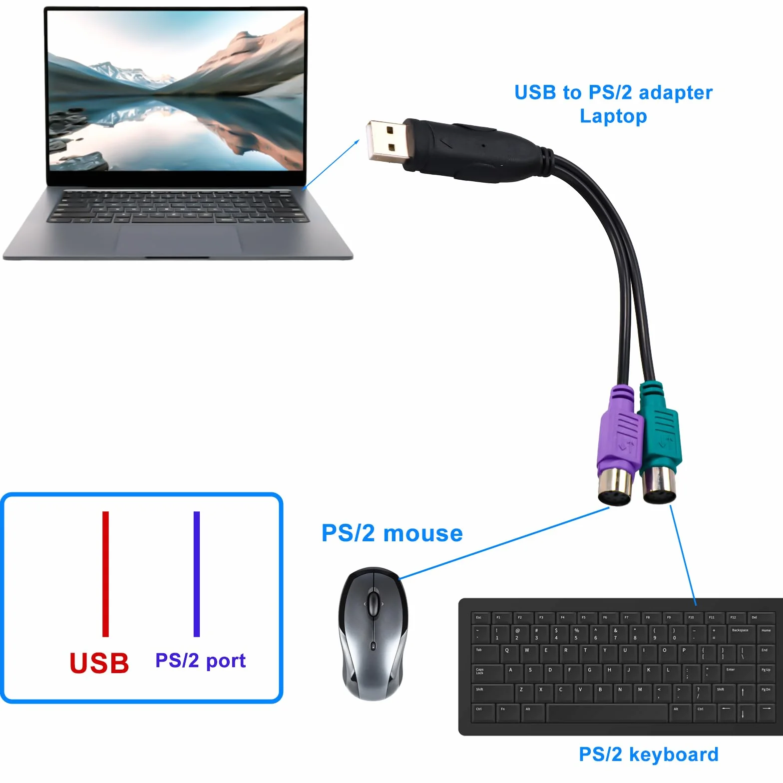 Adaptateur PS2 Vers USB 18,9cm Convertisseur Clavier Souris PS/2 vers USB Ports Violet Vert