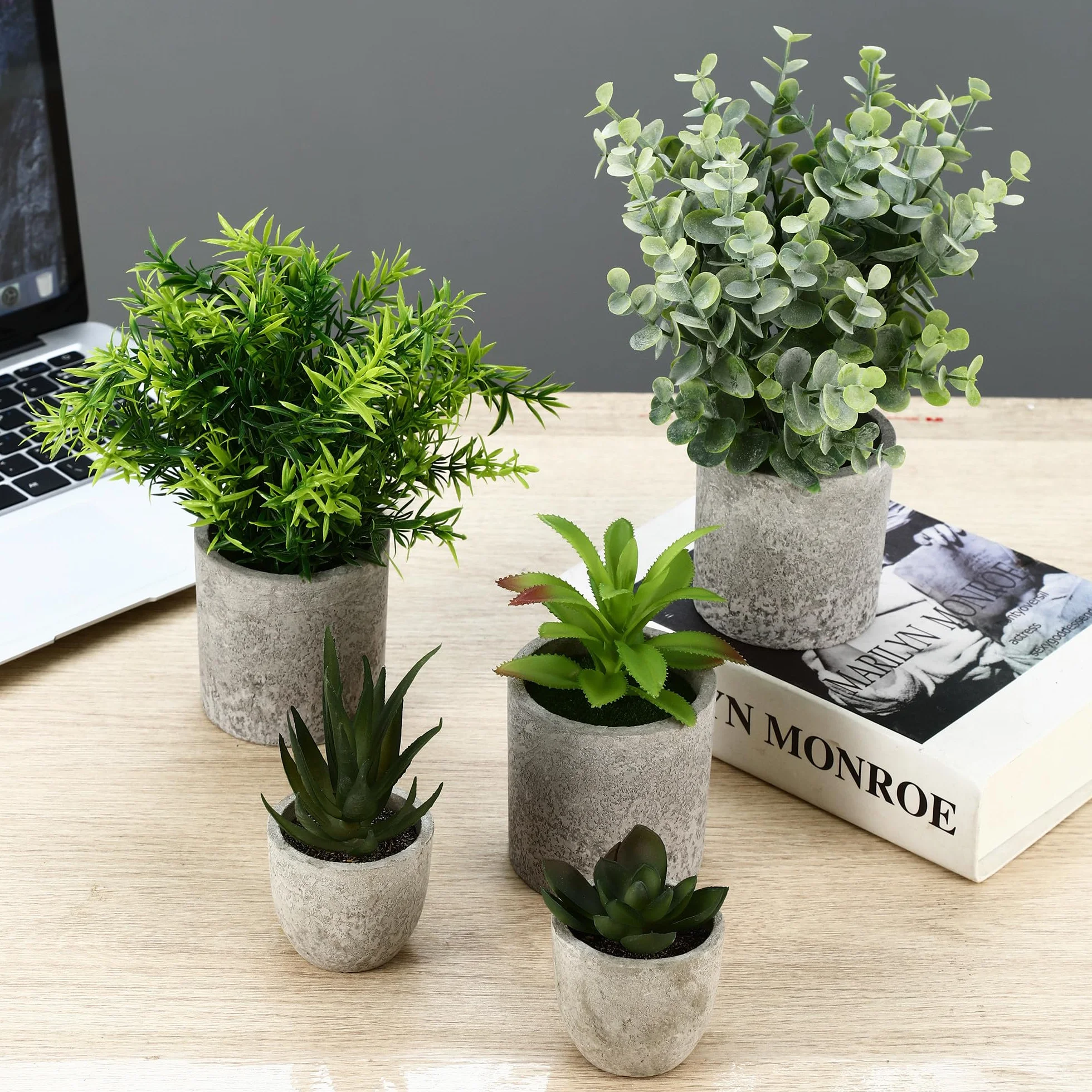 Plantes Artificielles Mini Interieur Serpentine Agave Succulentes Aloe Vera Decoration Bureau