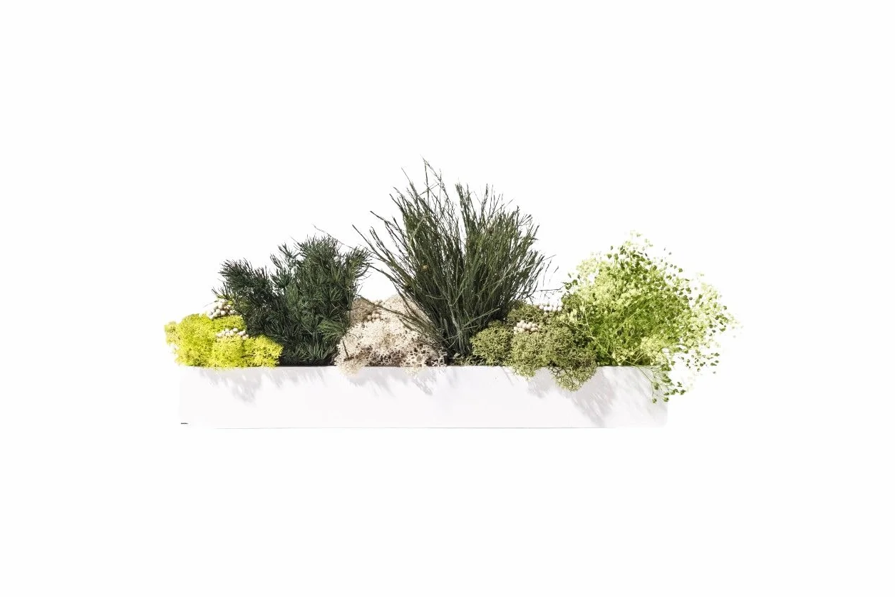 Tableau végétal barre 30 verts