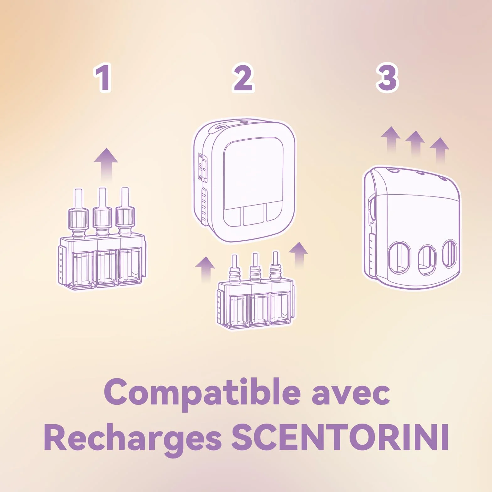 SCENTORINI Recharges pour Diffuseur Électrique Parfums Lavande, Floraux, Hawaïi, Vanille, 8x20ml, Compatibles avec 3Volution