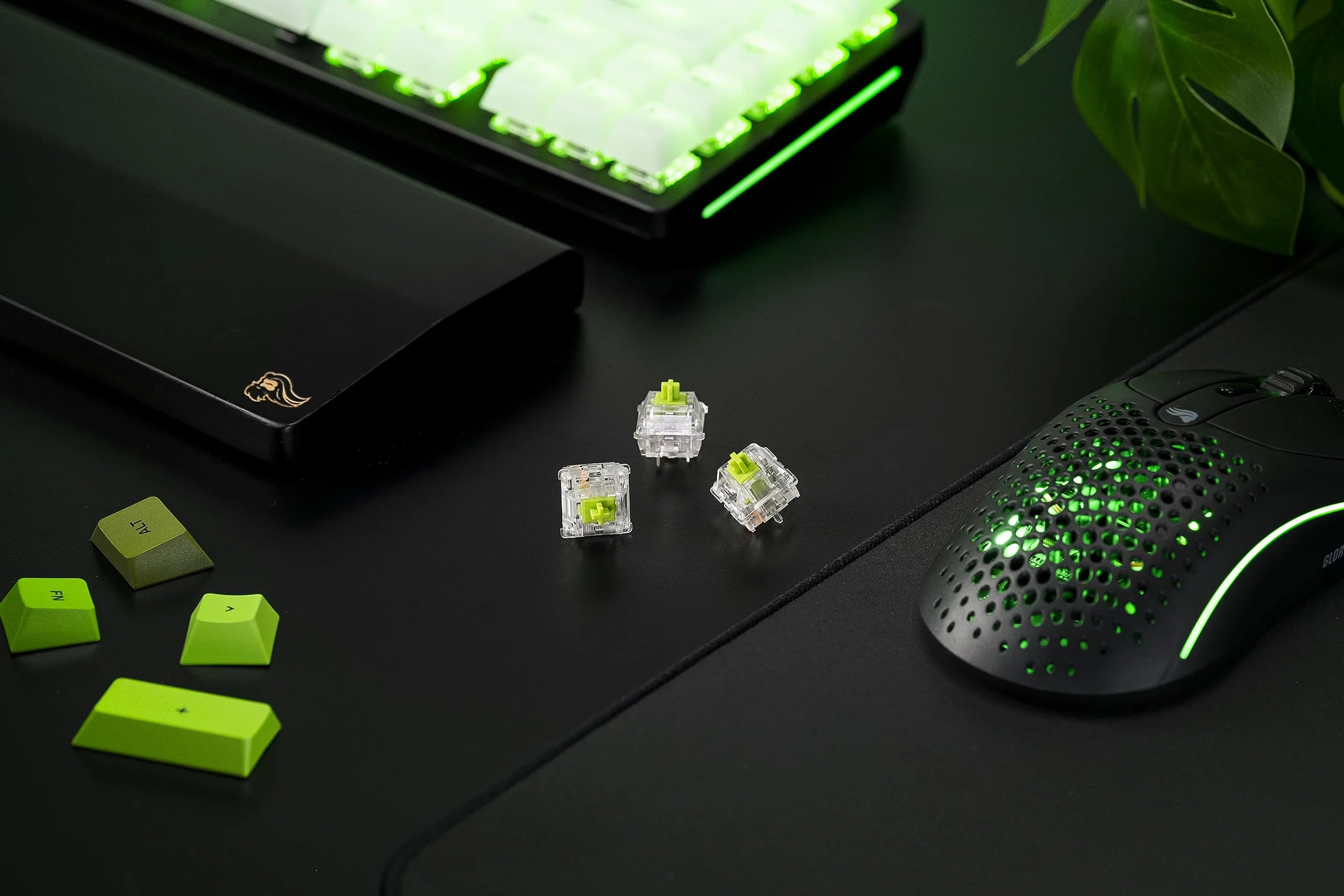 Glorious Gaming – 36 przełączników klikalnych do klaw. mech. – kompatybilne z GMMK 2/PRO i klaw. num. GMMK, efekt kliknięcia, przezroczyste (maks. efekt RGB), aktywacja 55 g, 5 bolców – smar