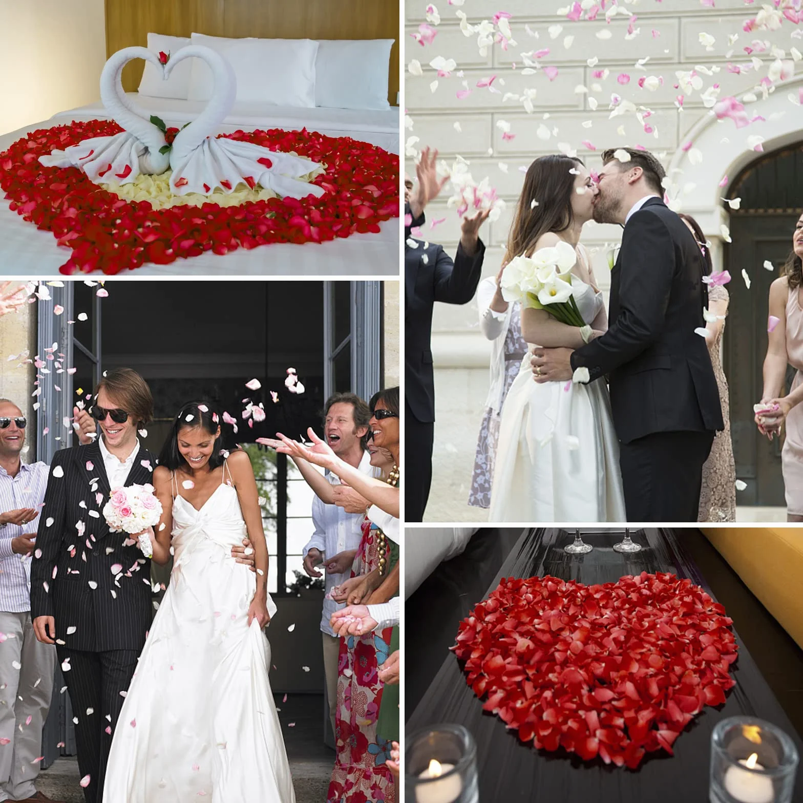 1200 Pièces Pétales de Rose Rouge Artificiels pour Décoration Mariage Saint Valentin
