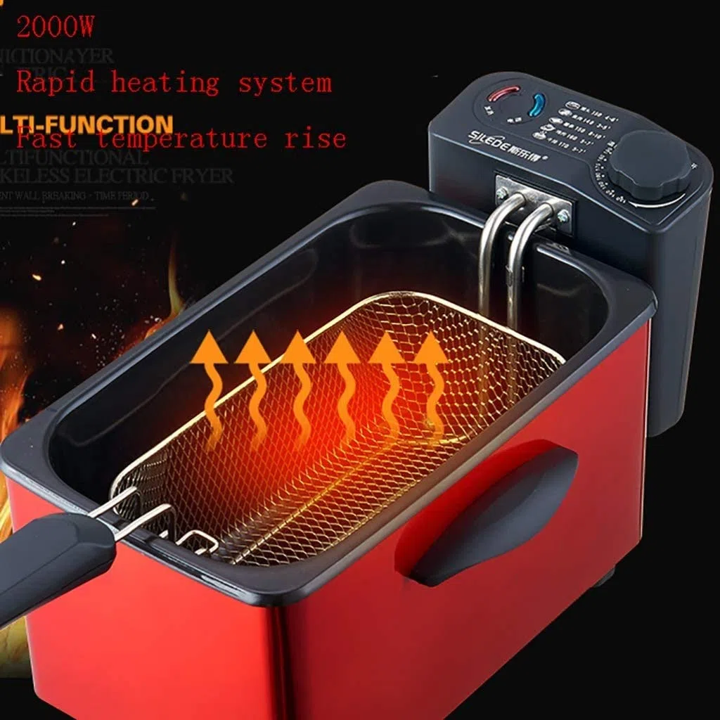 Friteuse Profonde en Acier Inoxydable, Facile à Nettoyer, friteuse, Filtration de l'huile