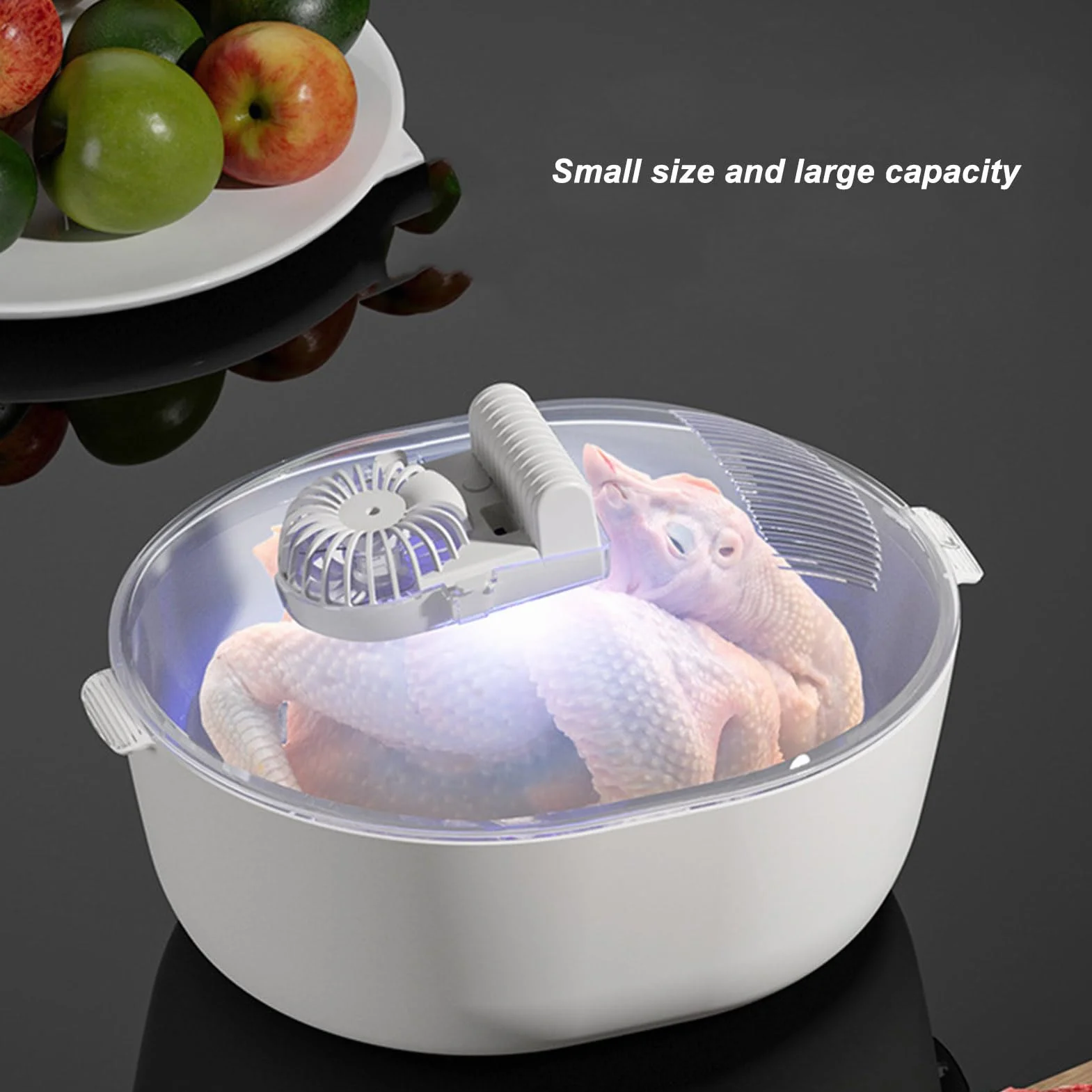 Plateau de Décongélation pour Viande Congelée, Décongélation Rapide et Sûre, Grande Boîte de Décongélation UV avec Panier D'égouttage, Minuterie de 15 à 30 Minutes