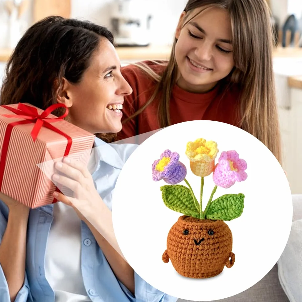 Fleurs au Crochet Faites à la Main dans un Pot, Cadeau Créatif pour Femme et Ado