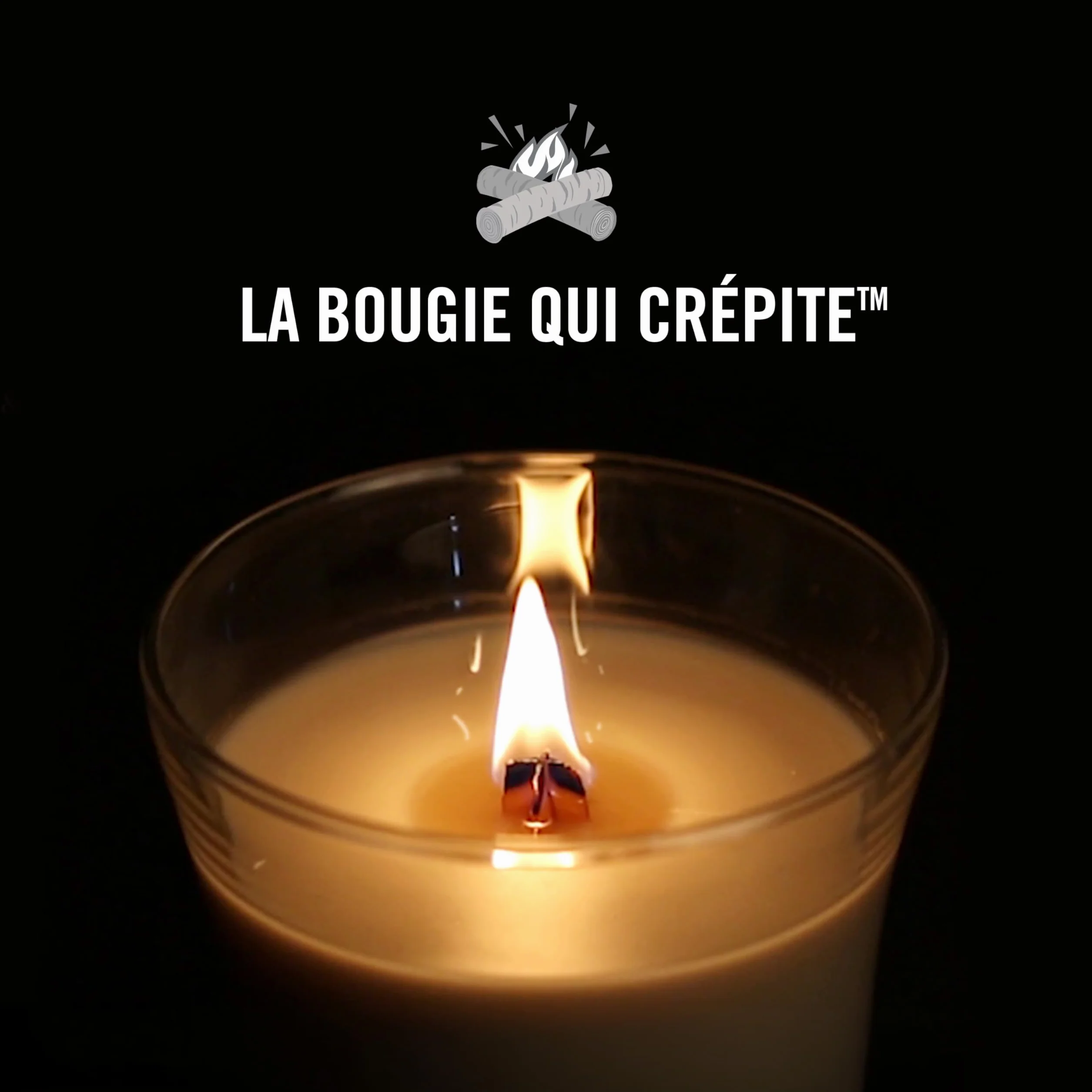 WoodWick bougie parfumée moyenne mèche bois crépitante Gousse vanille 20 heures combustion