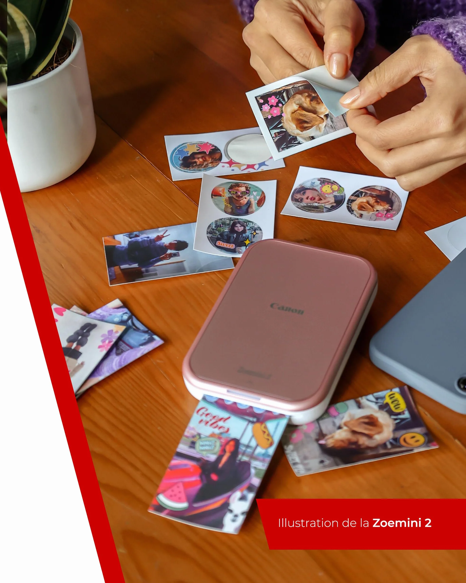 Canon Zoemini 2 Imprimante Photo Portable Bluetooth 5.0 Charge Rapide Type-C Or Rose