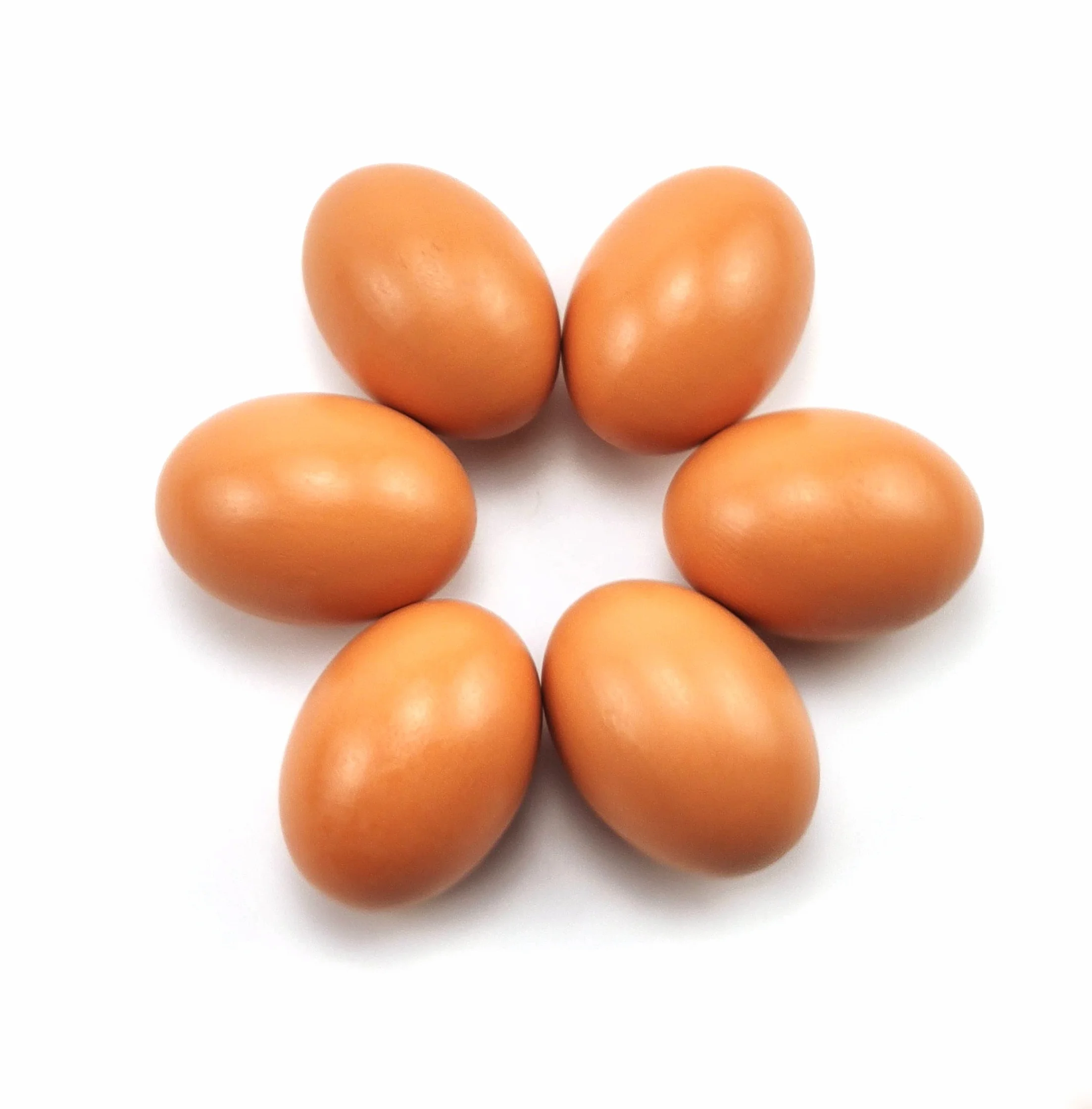 Œufs de Poule Faux en Bois 6 Pièces pour Aider à Pondre - Outil Agricole