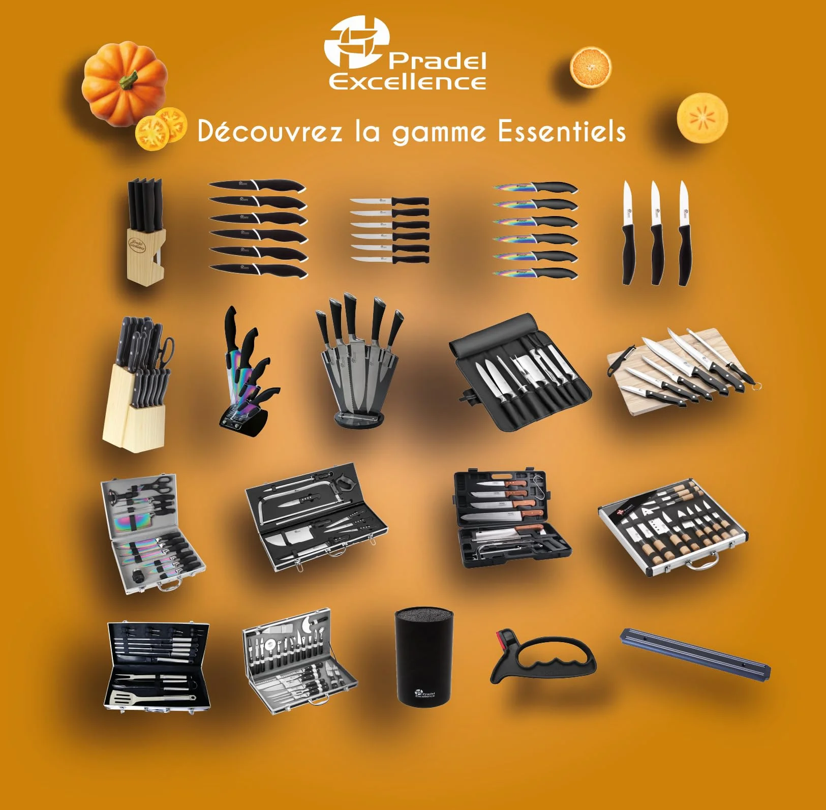 Pradel Excellence - PCOT001004 - Mallette Couteaux 12 Pièces - Lames Inox Revêtement Titane - Manches Polypropylène Soft-Touch - Coutellerie Essentiels - 1,99 kg, Grain