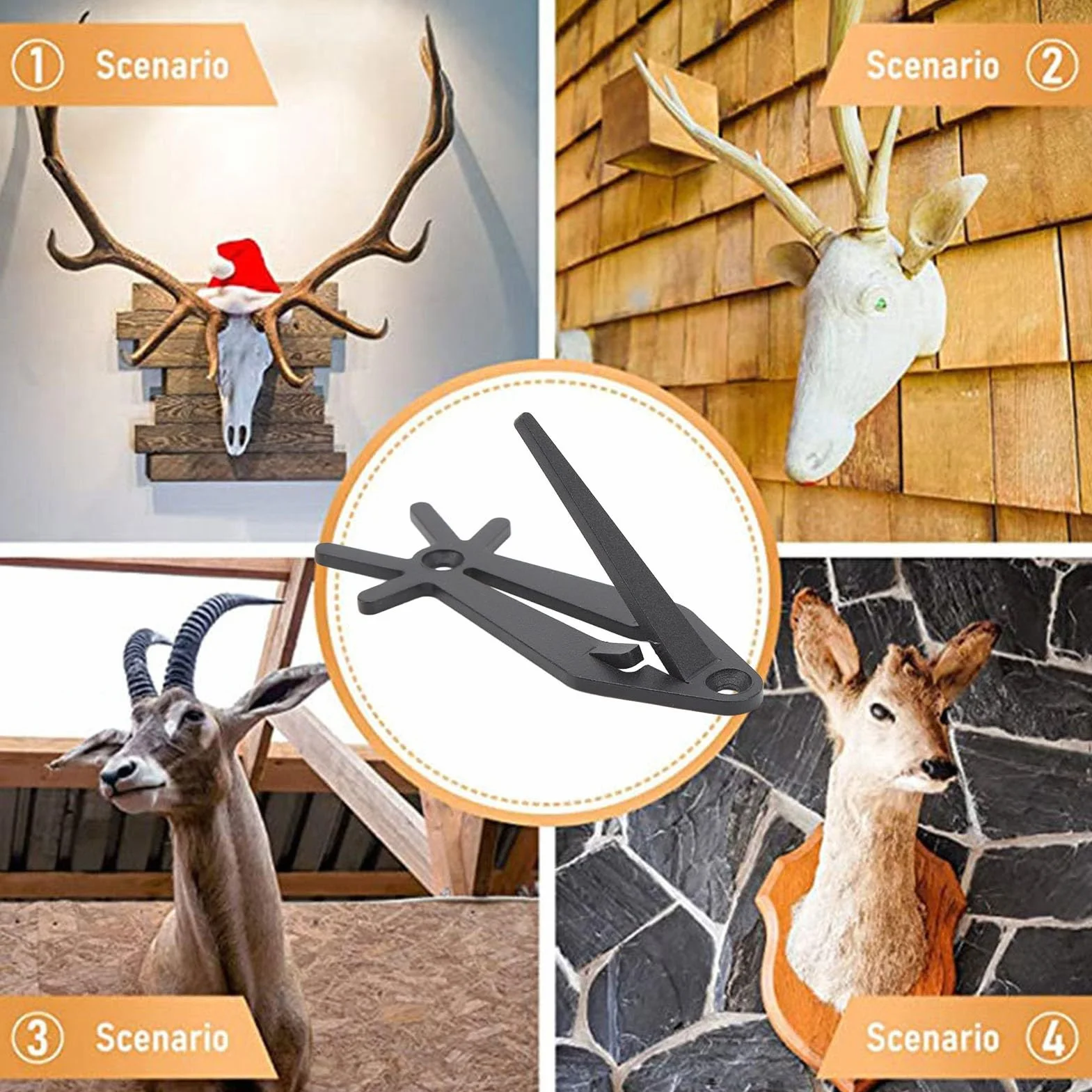 Supports Muraux Tête de Mort Européenne Lot de 6 Bois de Cerf