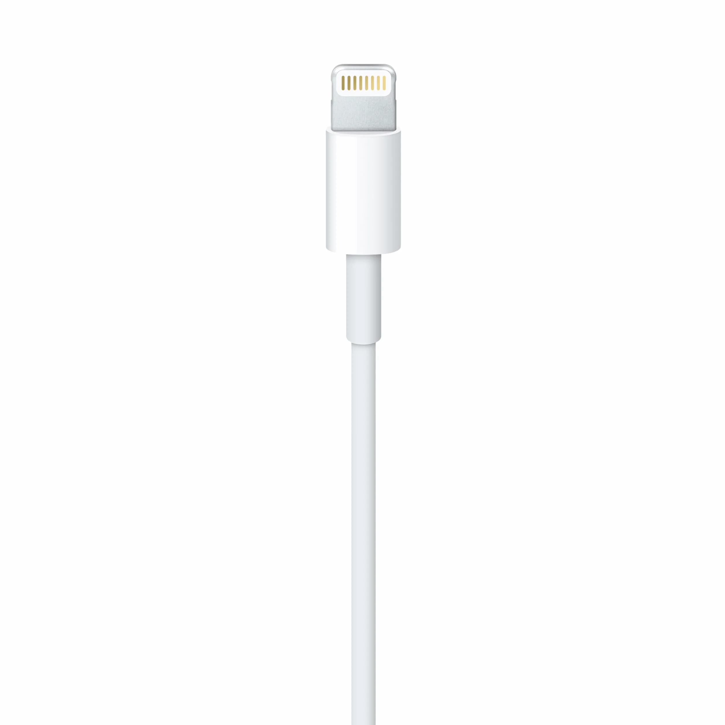 Apple Câble Lightning vers USB 1 m