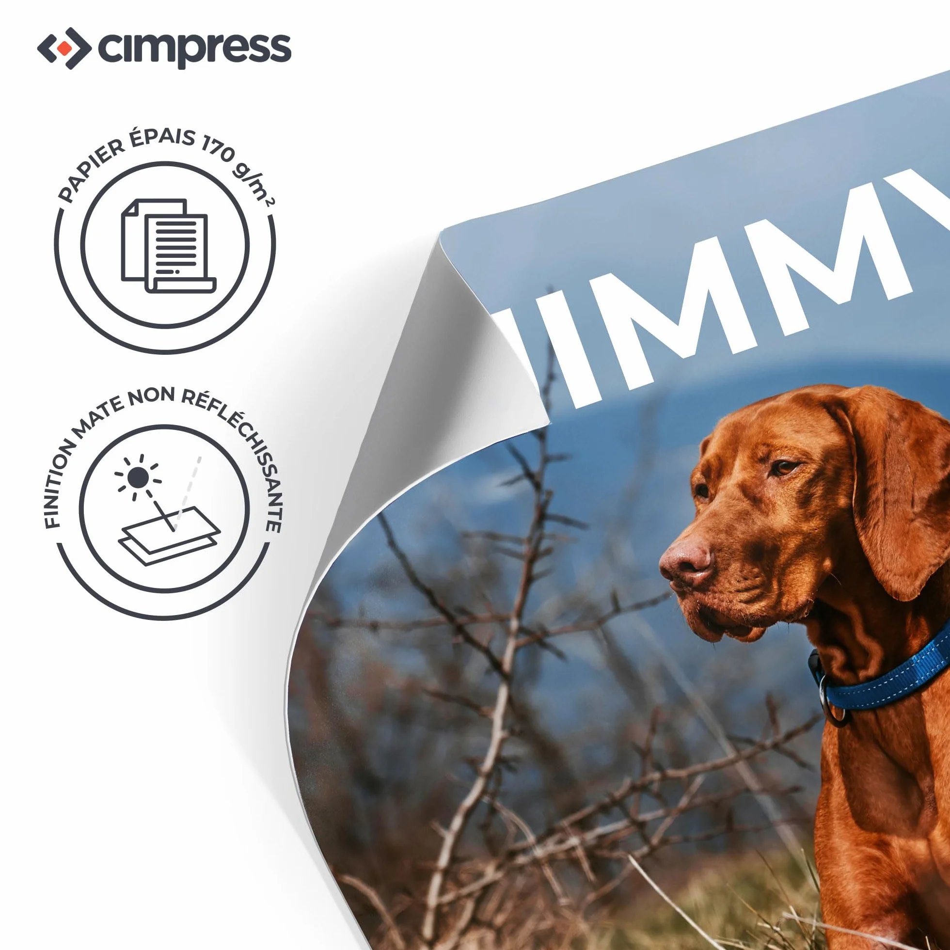 Affiche Personnalisée Cimpress Art Mural Vertical avec Photo Texte A4 A3 A2 A1 B2 50x70.7cm