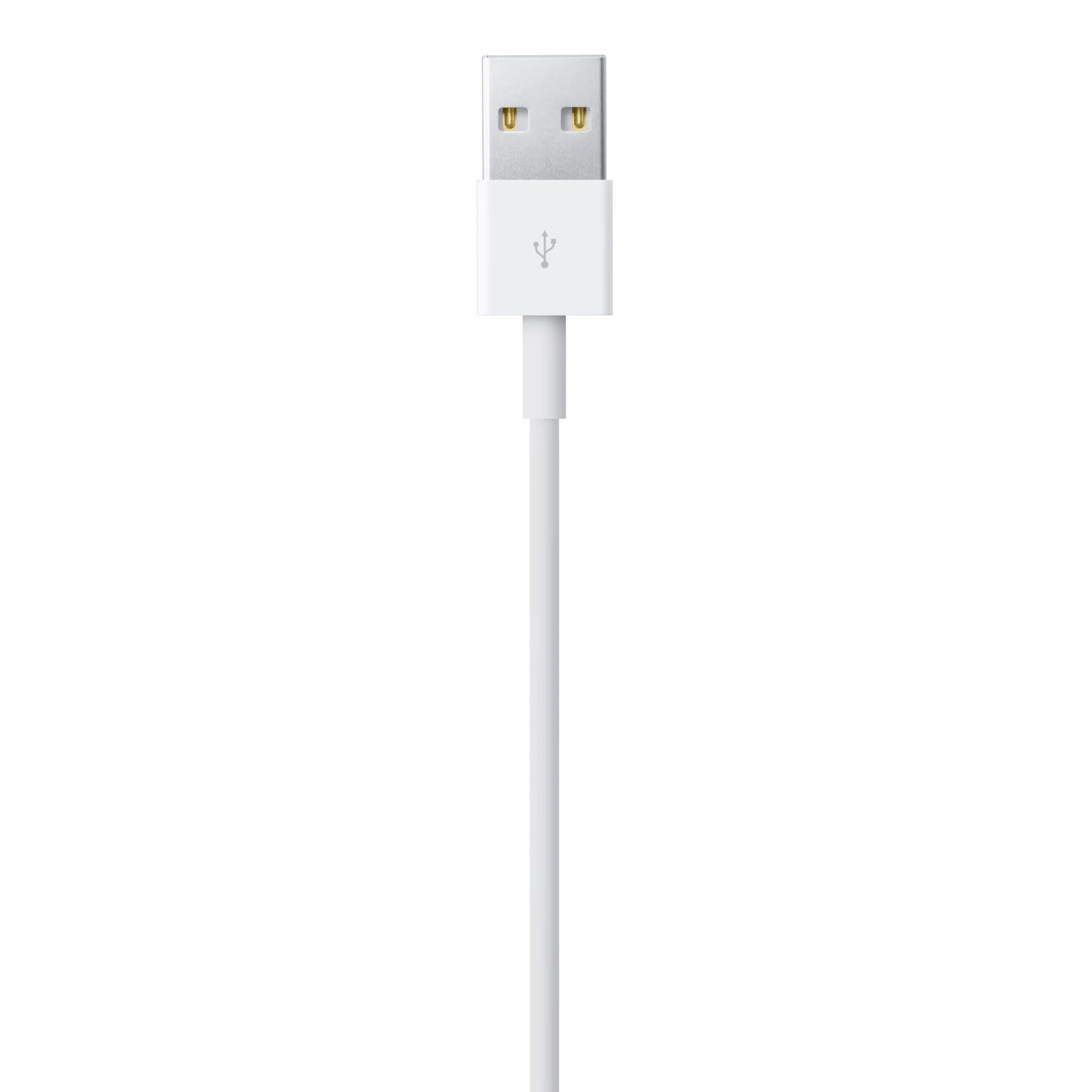 Apple Câble Lightning vers USB 1 m
