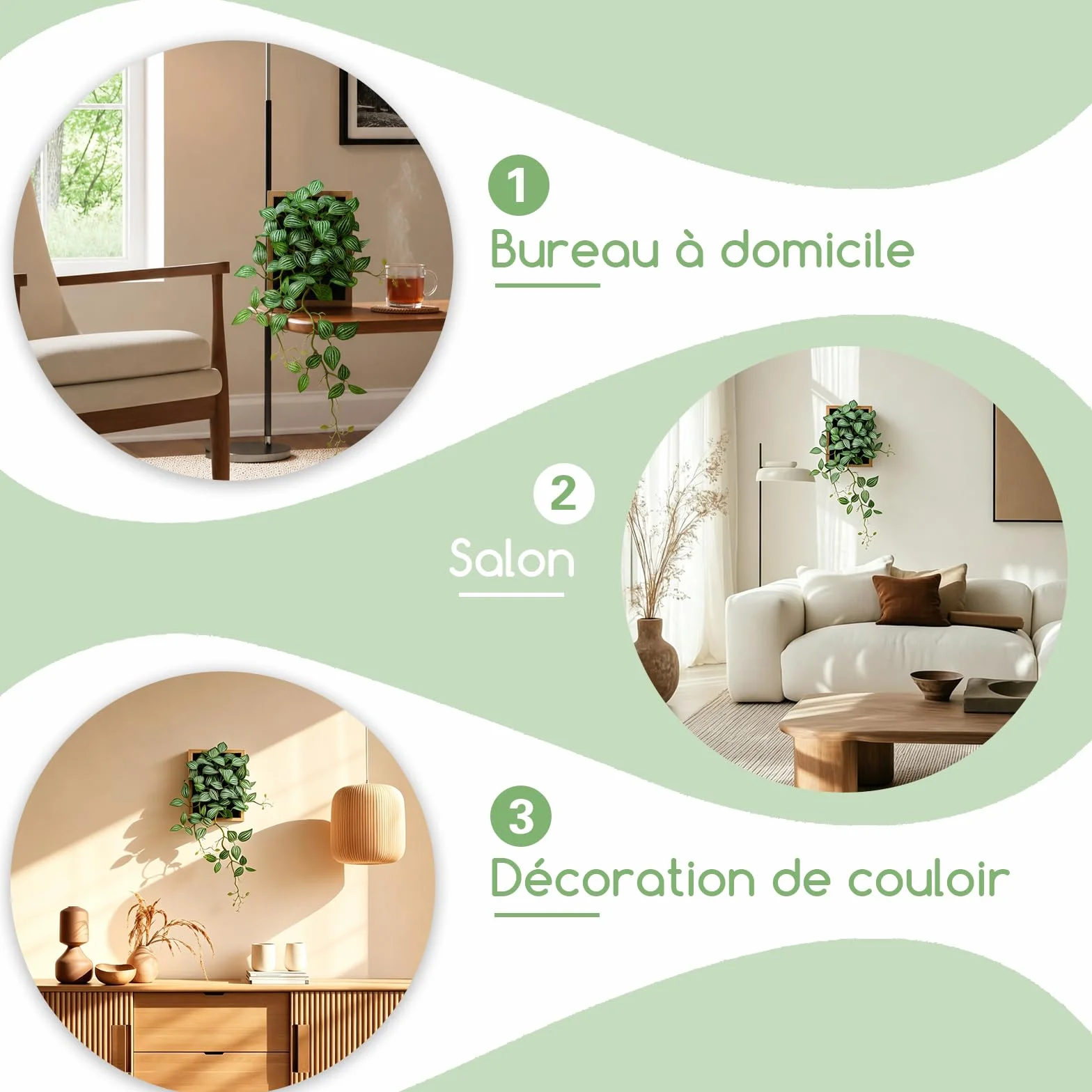 Tableau Végétal Feuilles de Pépéromia Cadre Naturel 30x48cm Décoration Murale Artificielle Salon