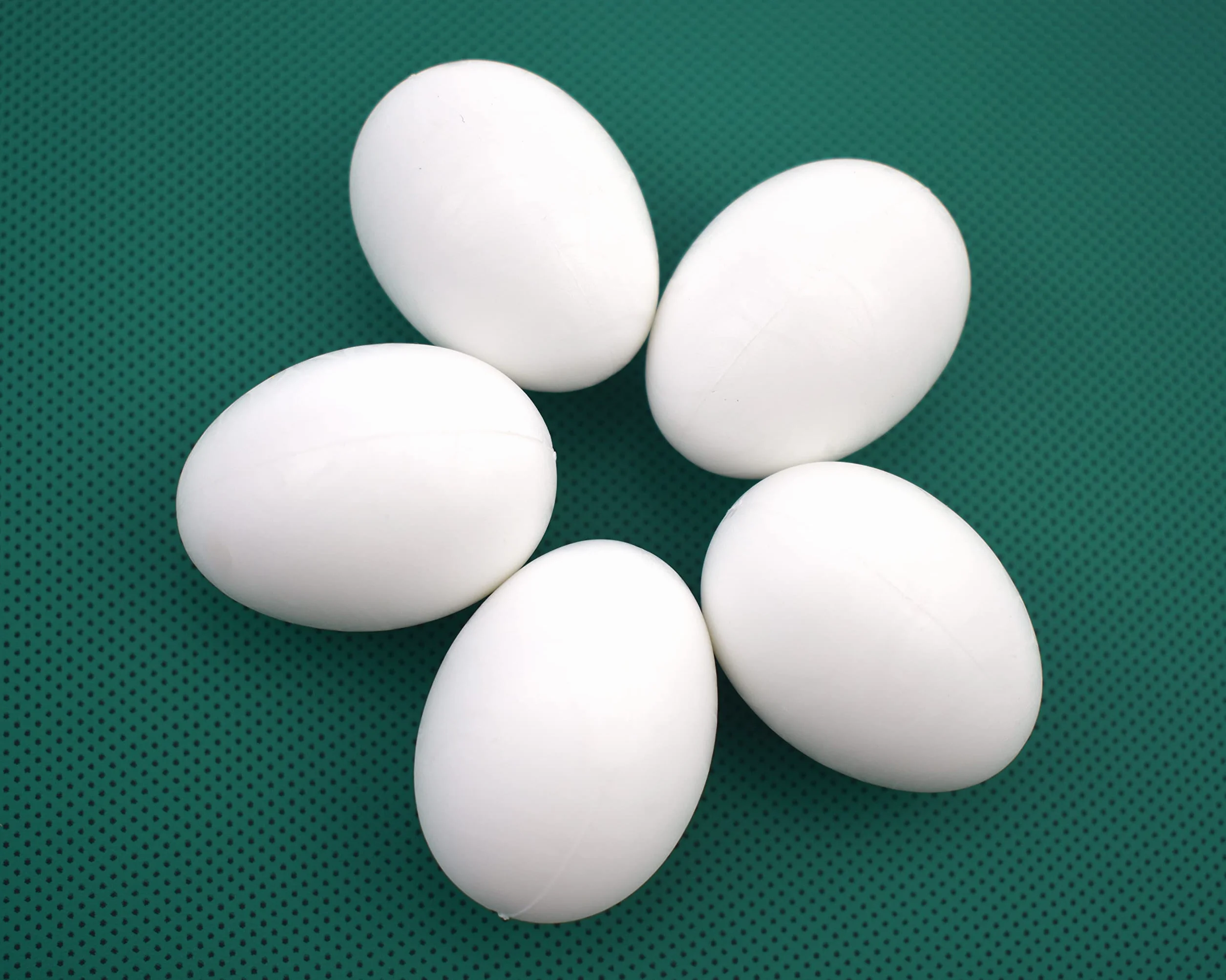 Lot de 10 œufs factices pour Pigeons en Plastique Solide