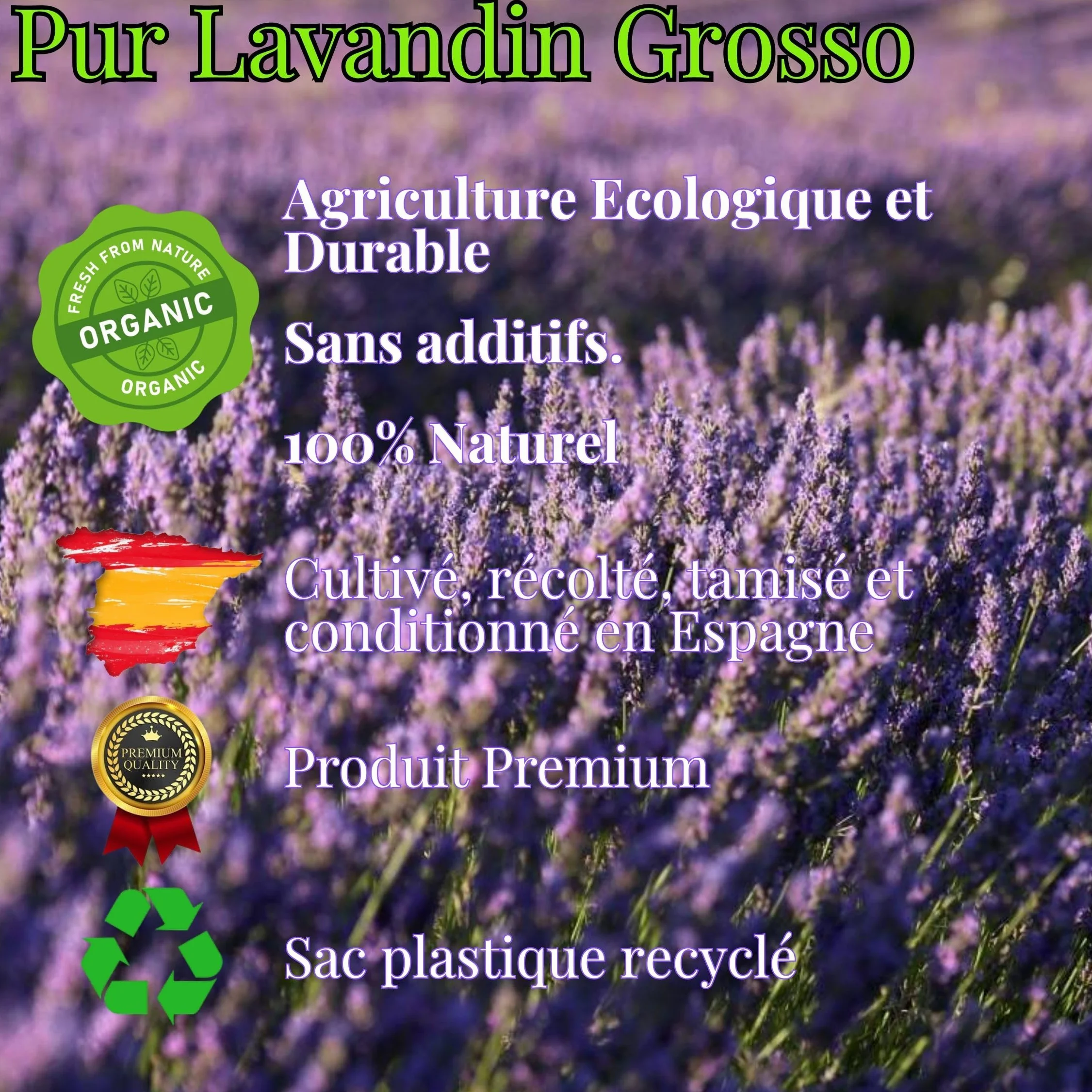 Lavande Bio séchée Naturelle Lavandin Grosso 250gr Fleur séchée Ecologique pour désodorisant, Huile Essentielle, savons, cosmétiques, Bougies