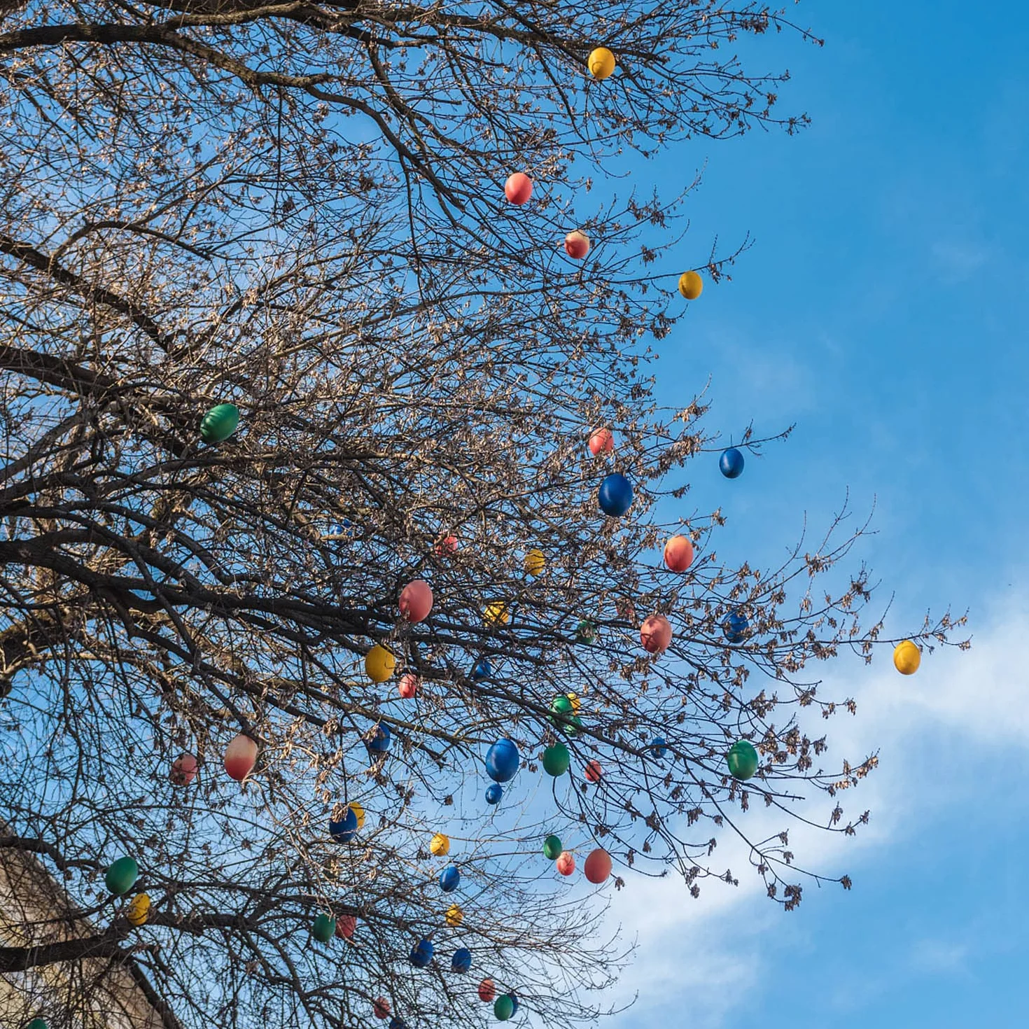 KEELYY 50 œufs de Pâques en plastique multicolores à remplir pour cadeaux et bonbons