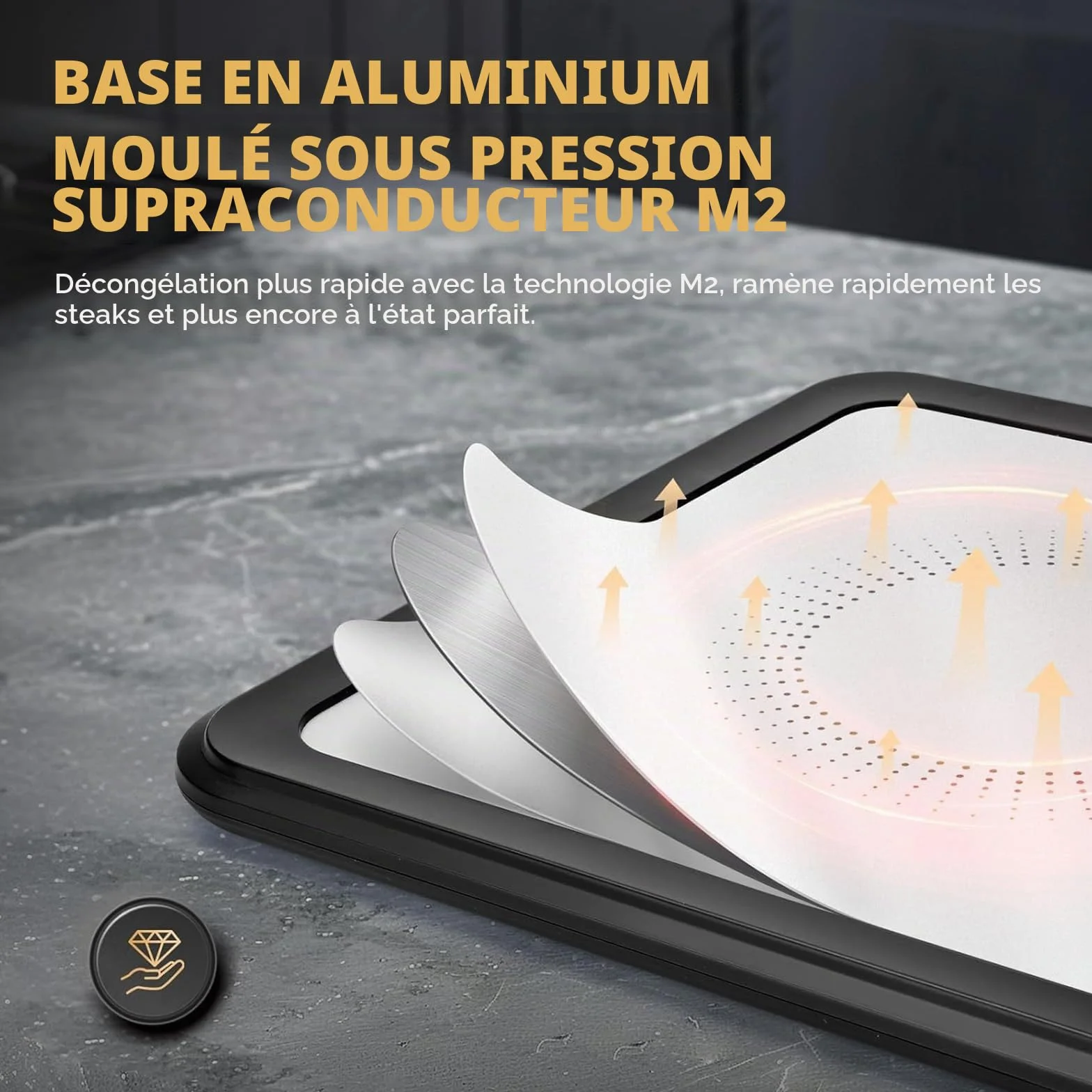 Planche de décongélation électrique – Plateau de décongélation de viande de 4,2 L – Décongélation rapide en 10 minutes – Rechargeable par USB, pas besoin d'eau pour la viande congelée, les fruits de