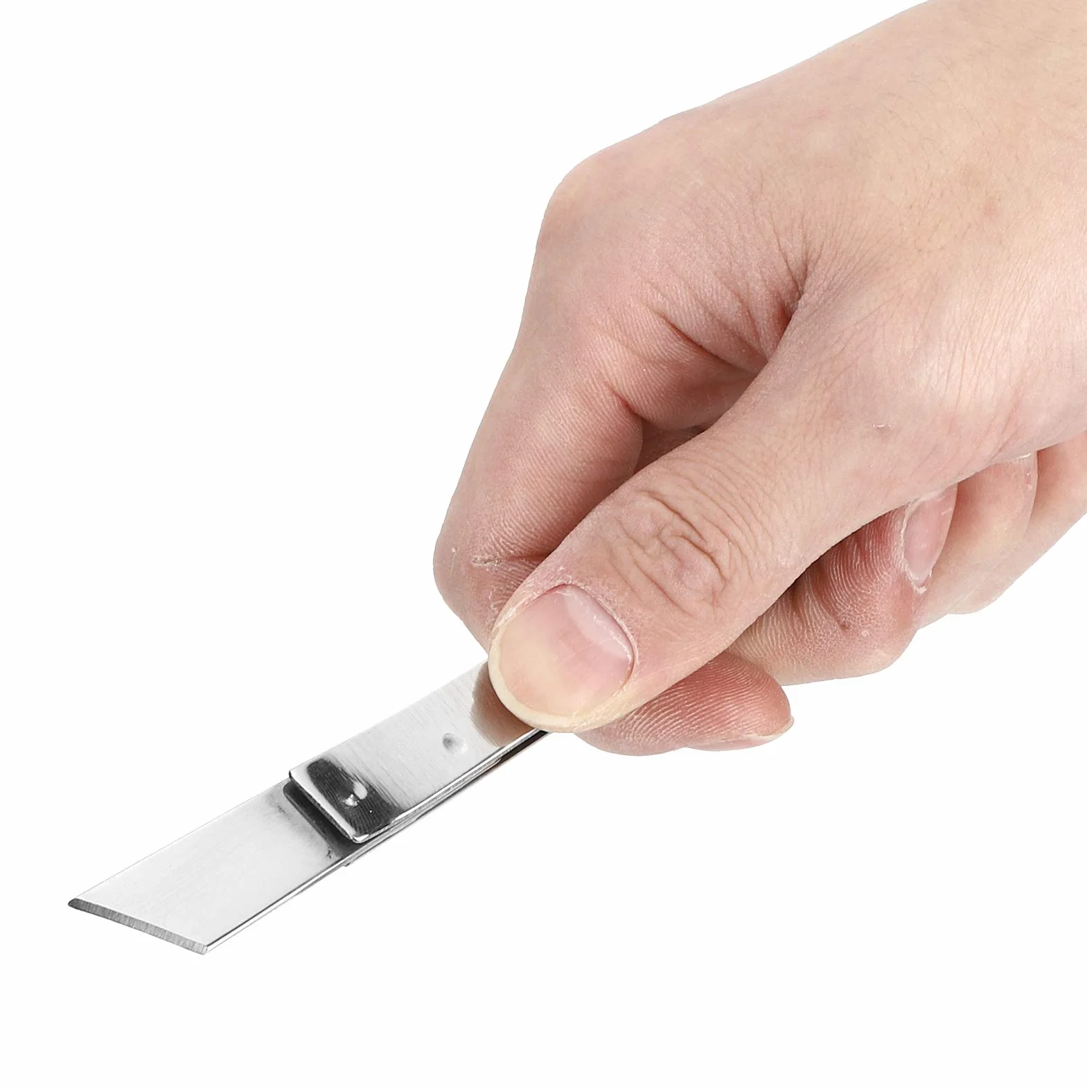 Kit D'outils pour Chapon de Poulet, Dispositif Vétérinaire en Acier Inoxydable, 5 Pièces