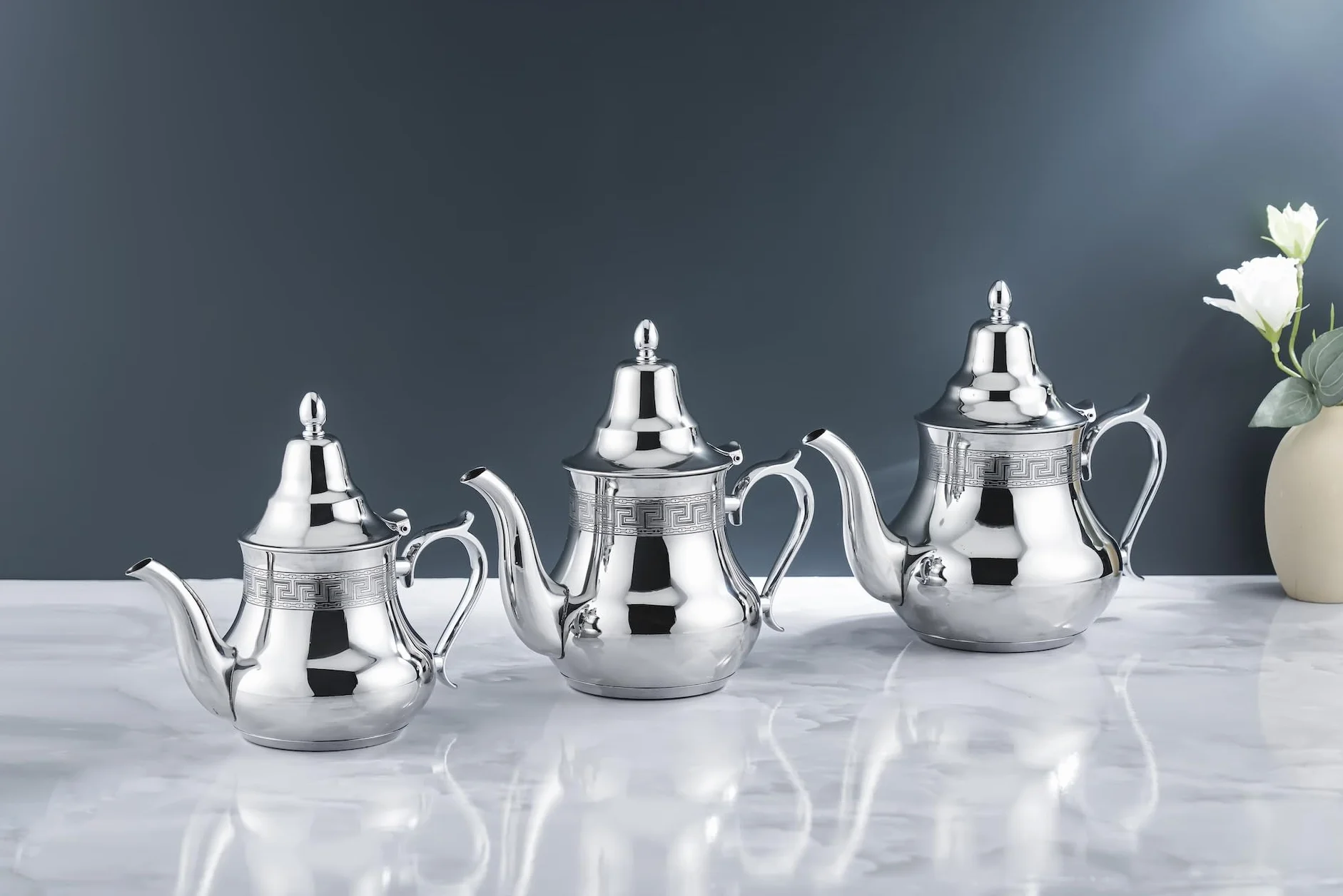 Théière Induction en Acier inoxydable de qualité Premium (1,2 Litres Moderne)