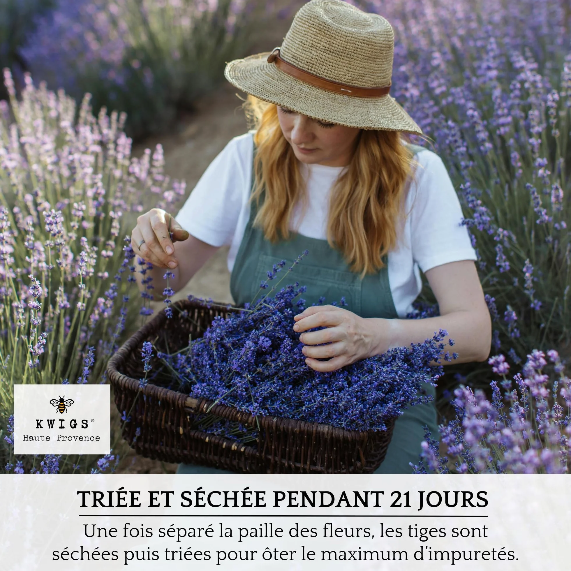 Sachet de Lavande en Jute Doublée 12 Sachets Couleur Lavande sans OGM Remplis à la Main Petit Sac pour Placards Linge Armoire Fleurs de Haute Provence