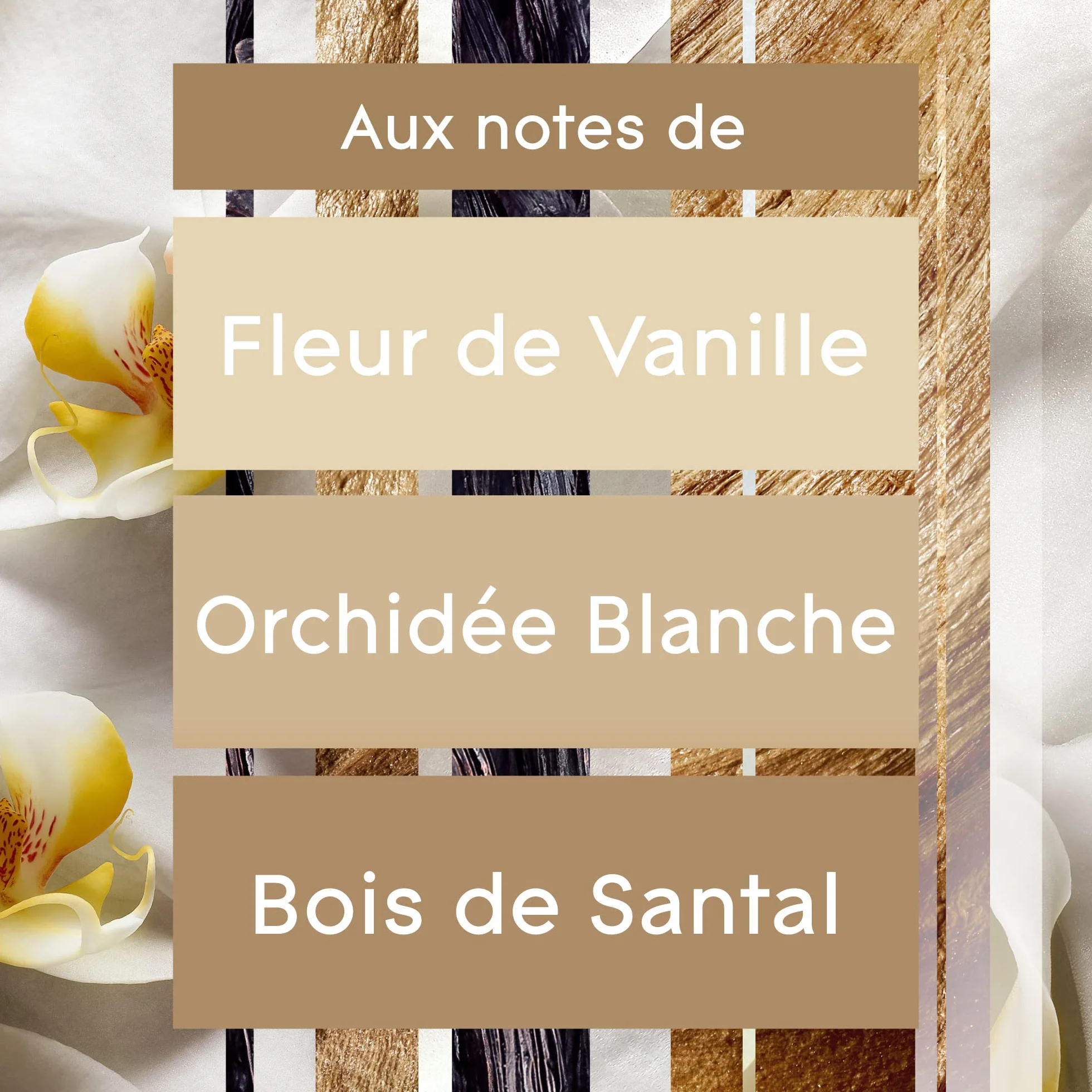 Glade Sense et Spray Recharge Duopack Diffuseur à Détection de Mouvement Romantic Vanilla Blossom 2 Recharges