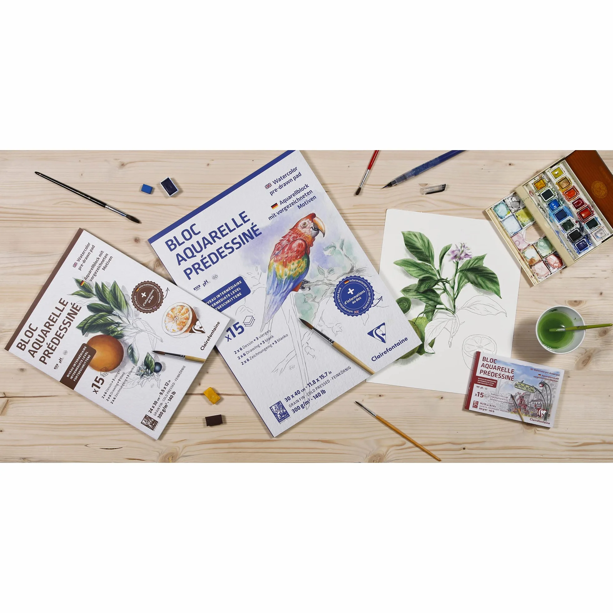 Clairefontaine 975725C Bloc Collé Aquarelle Prédessiné 30x40 cm 300g 15 Feuilles Animaux