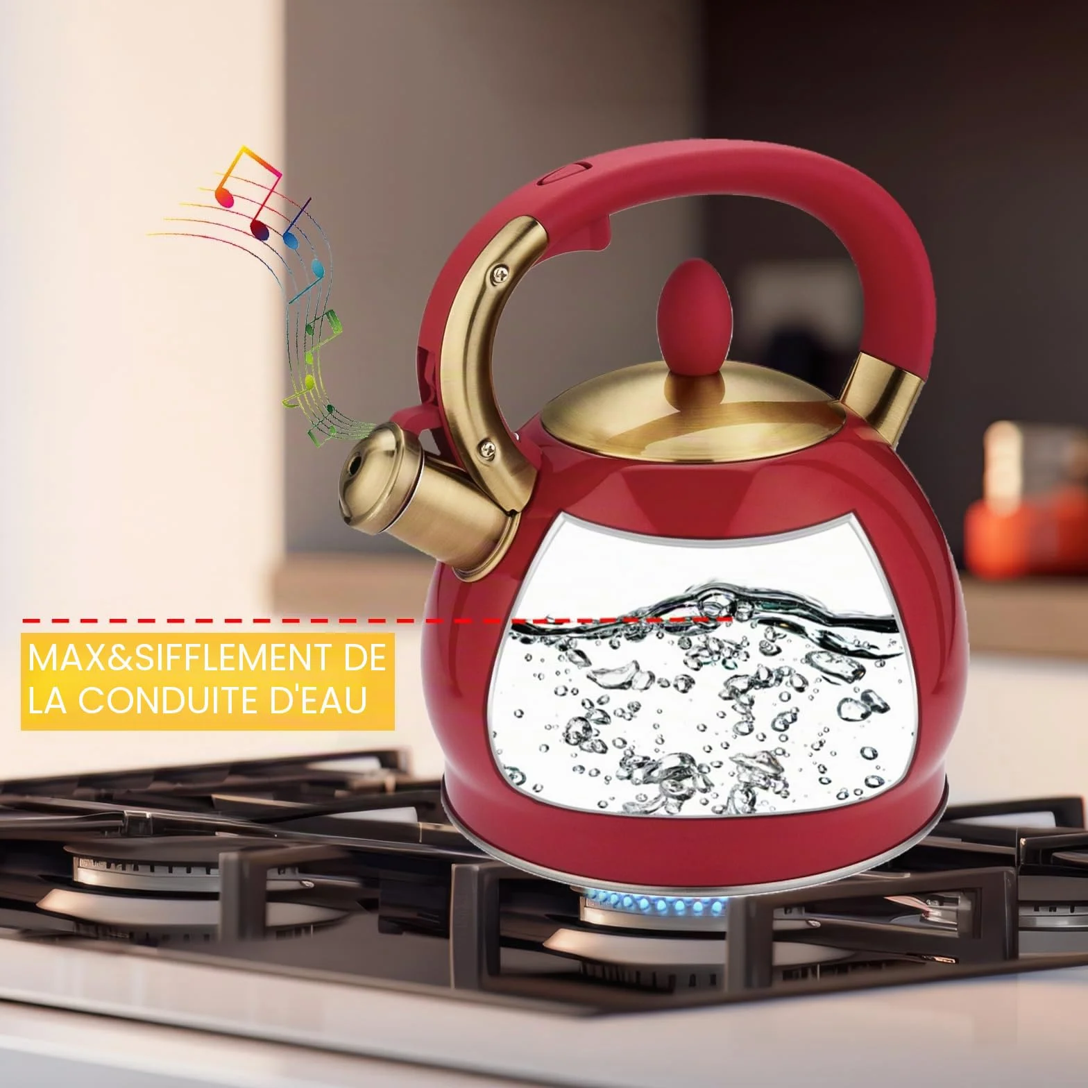 2,8 L Bouilloire à sifflet pour induction, théière en acier inoxydable pour tous les types de cuisinières
