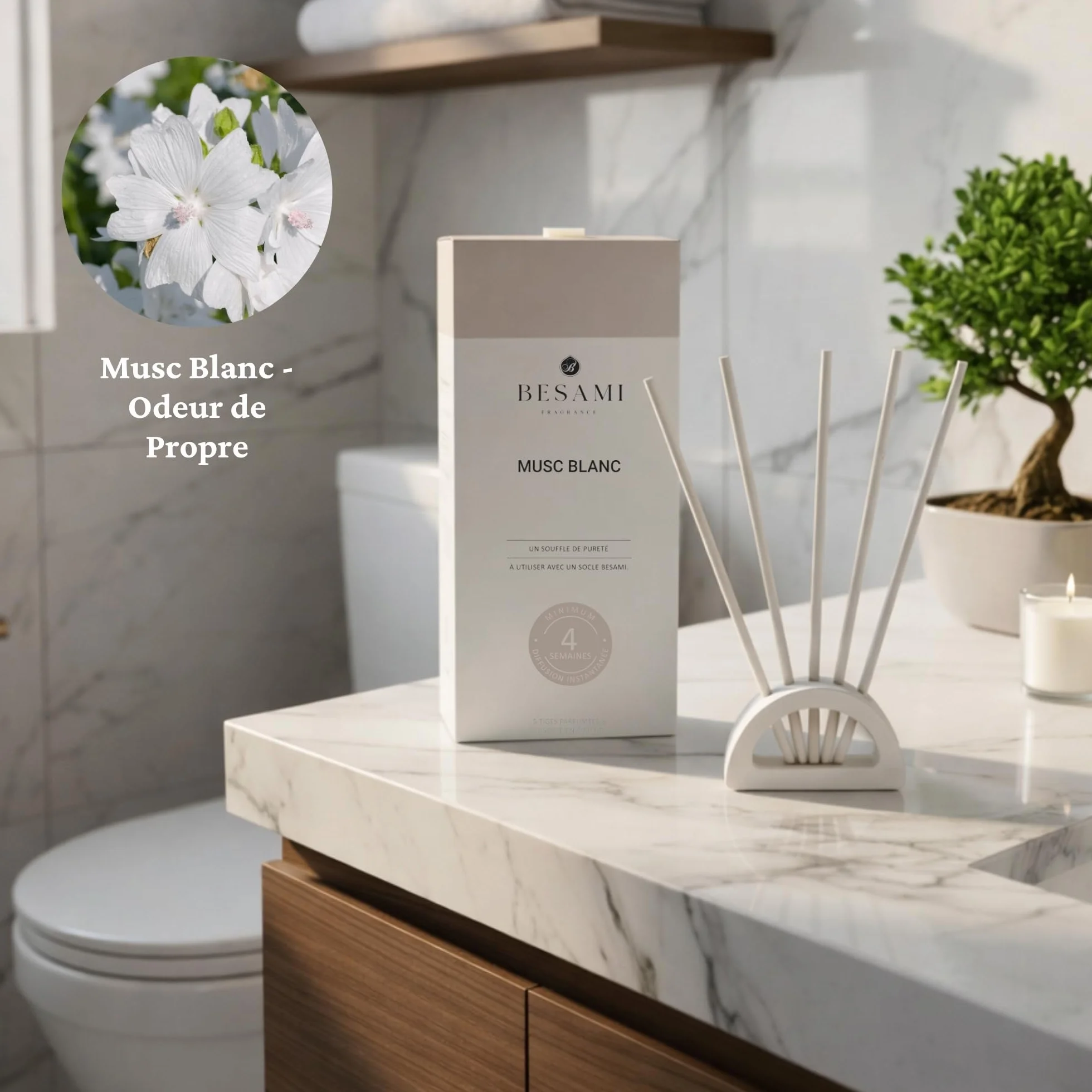 BESAMI Diffuseur Parfum Maison Musc Blanc Bâtonnets Solides Sans Huile ni Alcool 4 Semaines Coffret Cadeau