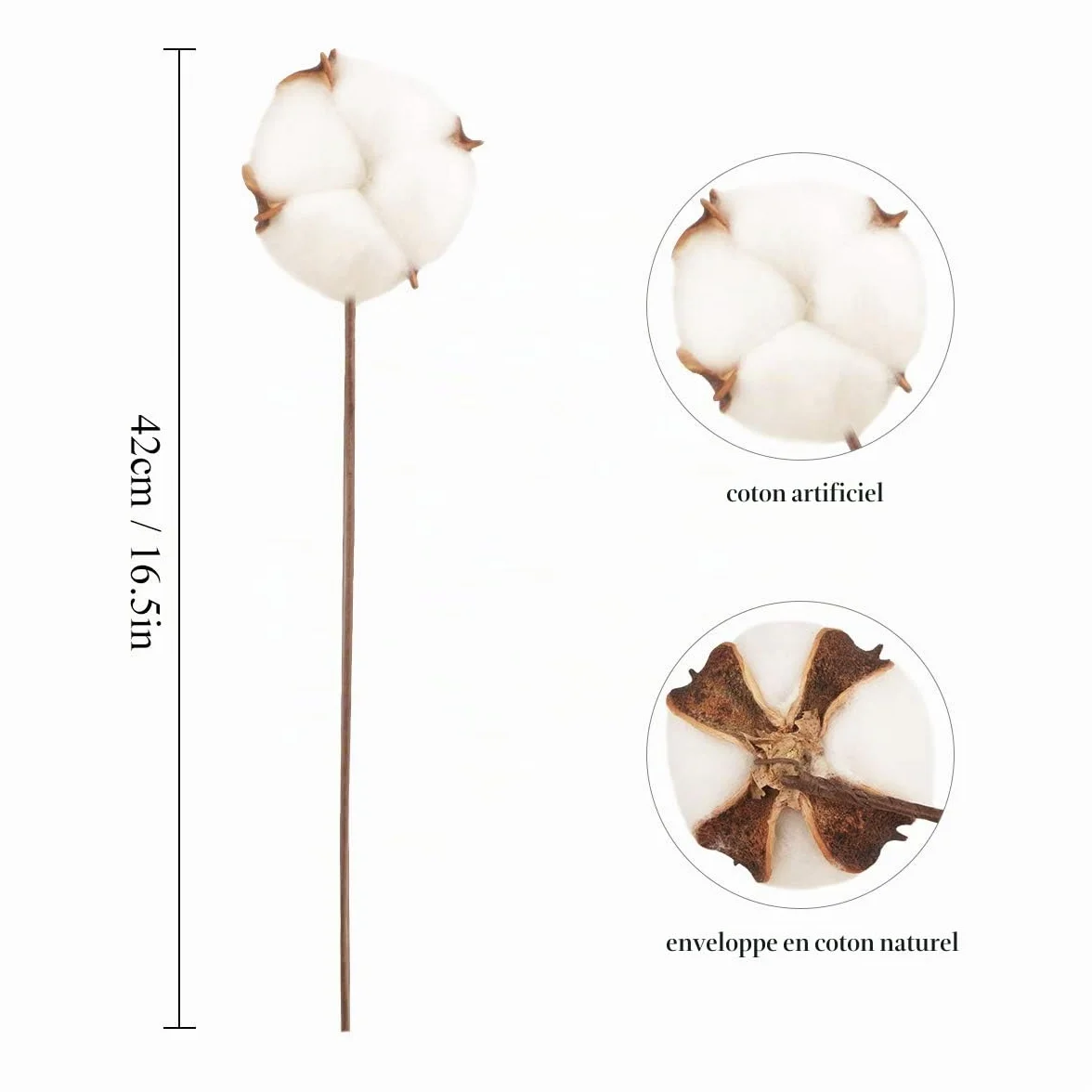 Fleurs de Coton Sechees Naturelles 10 Pack Fausses Branches Decoration Maison Balcon Composition Florale