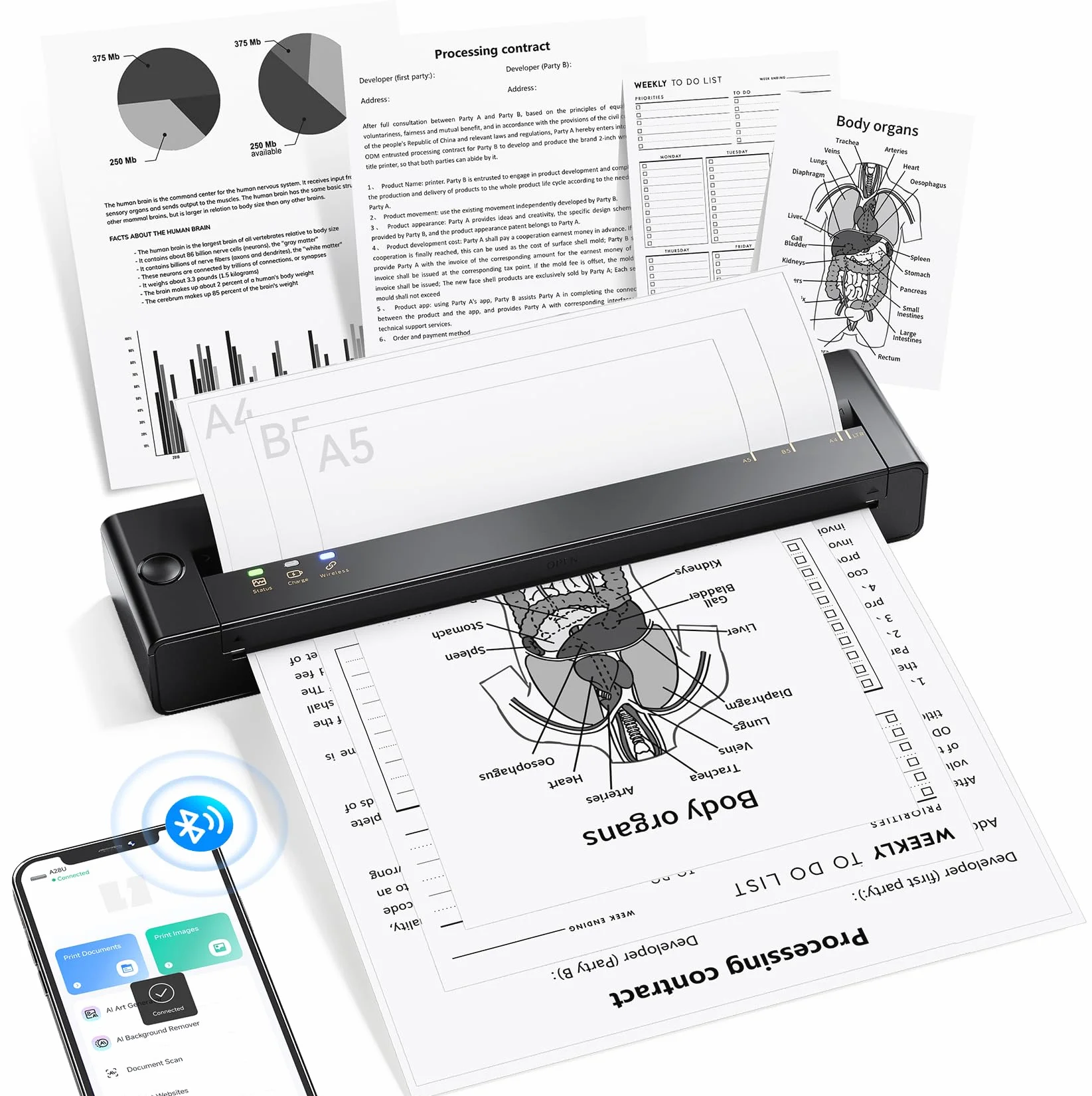 TATTMUSE A28U Imprimante Thermique A4 Portable sans Encre pour Papier A4/A5/B5 Compatible iOS Android