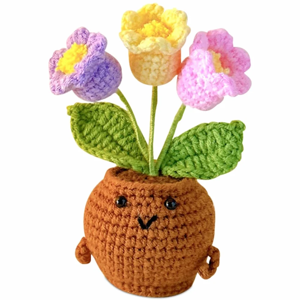 Fleurs au Crochet Faites à la Main dans un Pot, Cadeau Créatif pour Femme et Ado