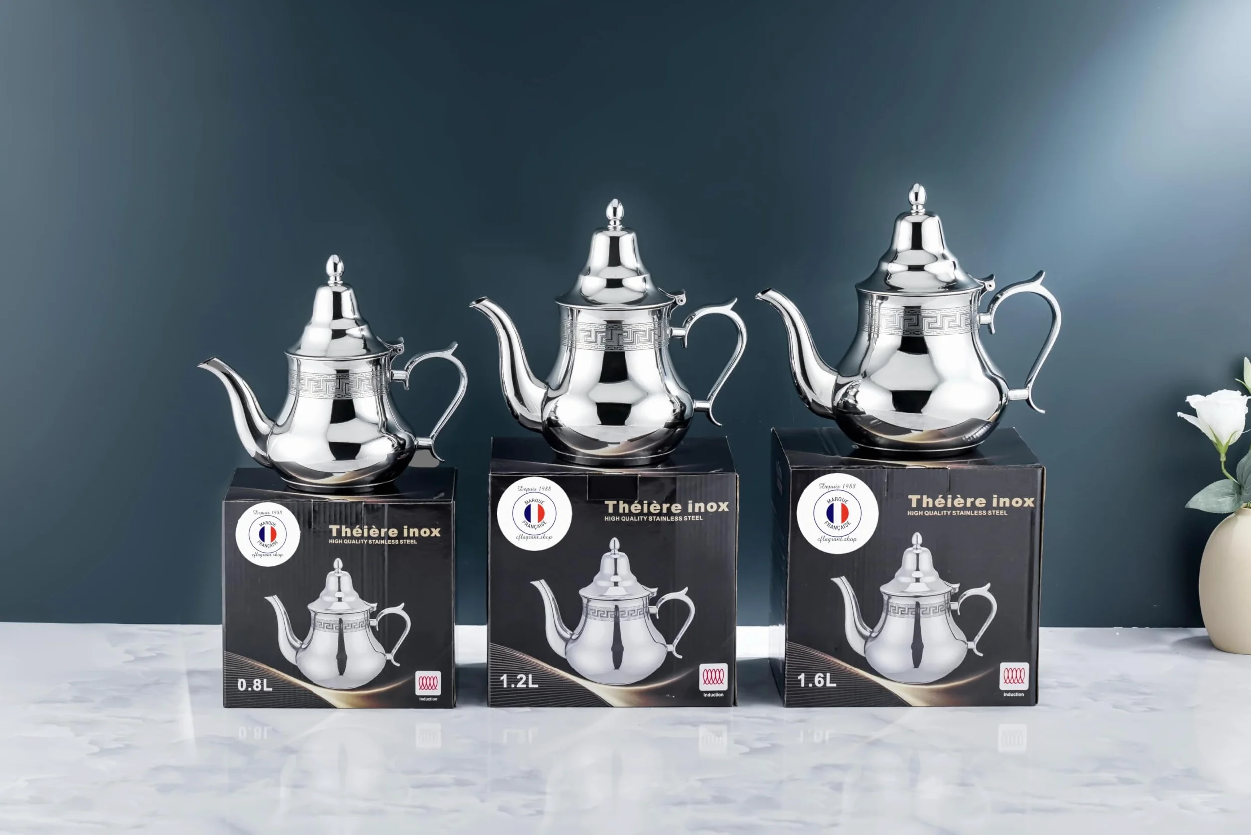 Théière Induction en Acier inoxydable de qualité Premium (1,2 Litres Moderne)