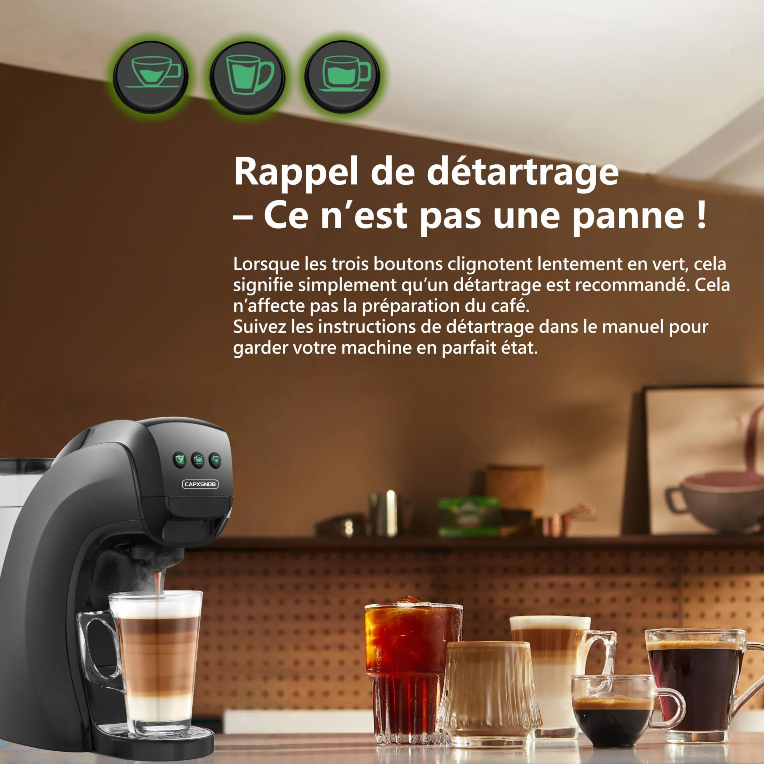 Warriors1 Machine à Café Capsule 5en1 pour Nespresso, Dolce Gusto, Lavazza A Modo Mio, FAP Espresso Point et Café Moulu, 20 bar, 0,8L, Température et Quantité Réglables, Compacte pour Maison et Bureau