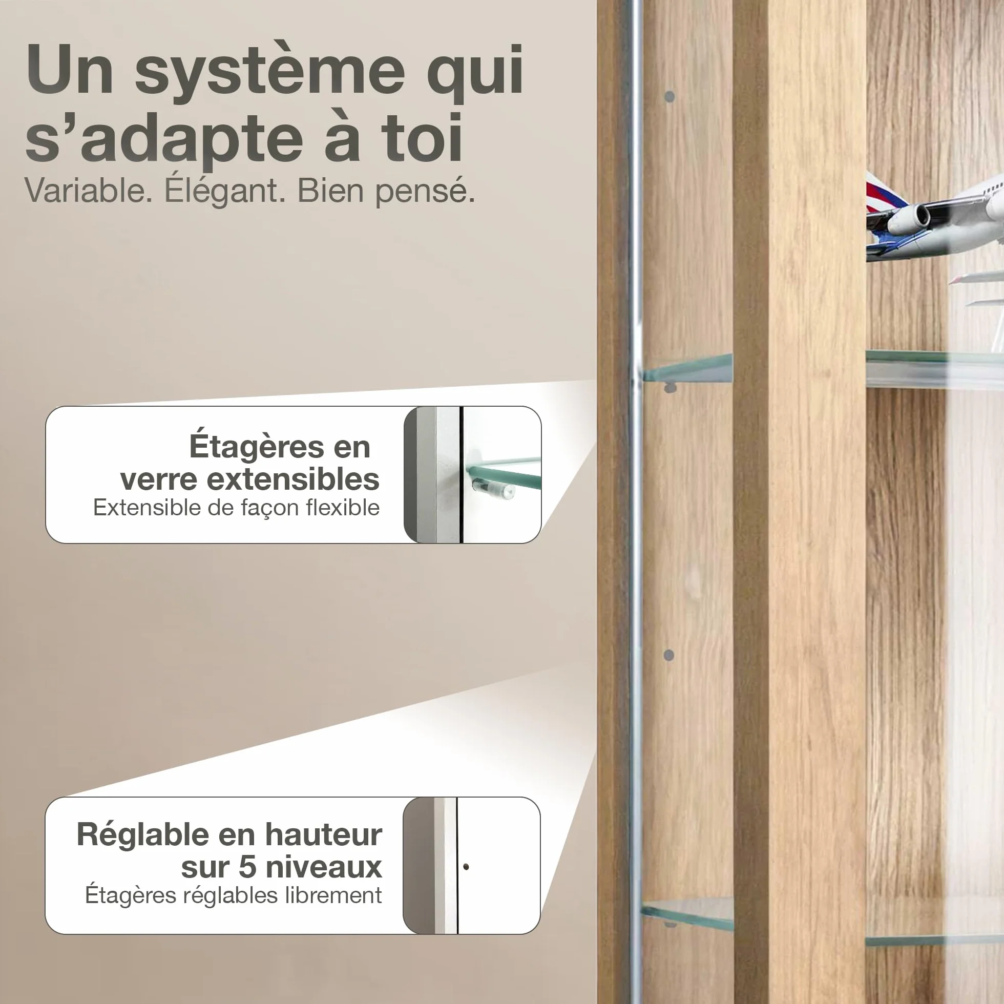Vitrine Murale Verre (80x60x25cm) - Fabriqué en Allemagne - Petite Vitrine en Verre Suspendue avec 2 étagères réglables en Verre trempé (ESG) in Hêtre - armoires vitrées de présentation