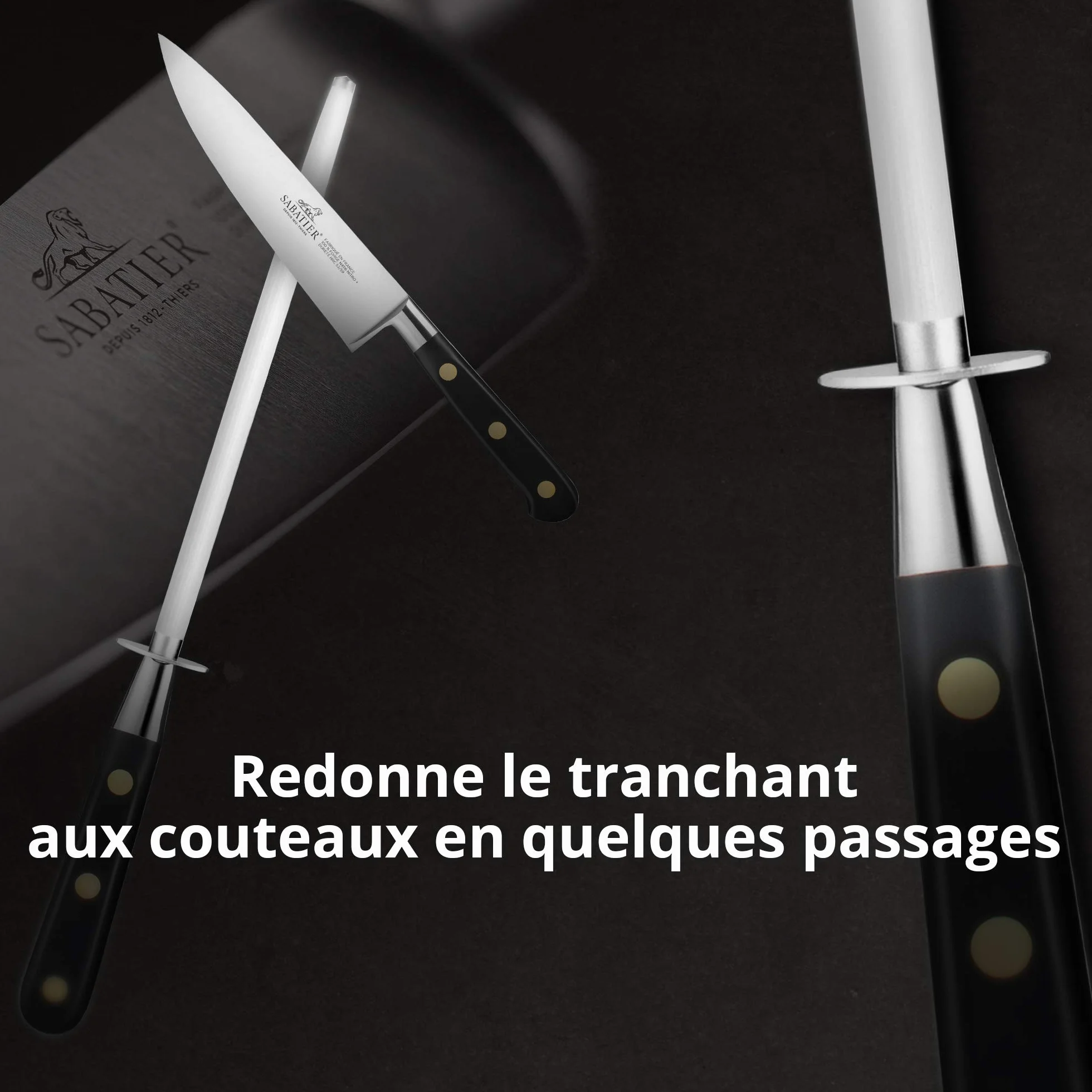 LION SABATIER - Fusil à Aiguiser IDEAL 20 cm - Mèche Ronde Haute Résistance : Affûte, Aiguise et Ravive vos Lames et Couteaux - Entretien Quotidien - Fabriqué à Thiers - 70g
