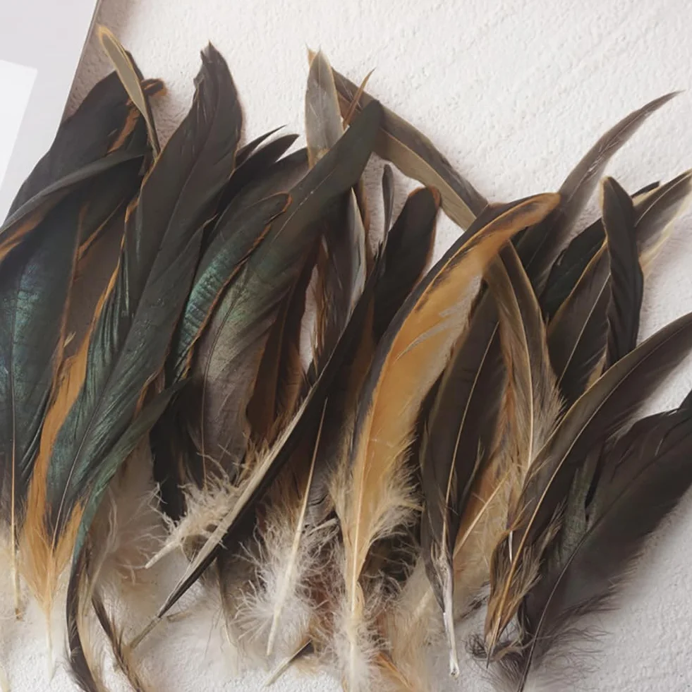 Plumes de coq naturelles 20-25 cm Queue de faisan marron Lot de 100 pour projets artistiques