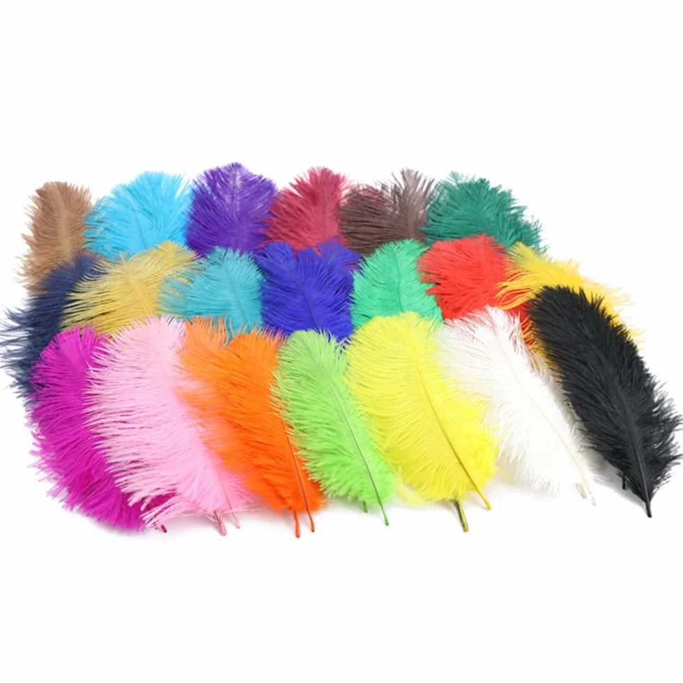 Plumes d'autruche naturelles 15-20 cm Lot de 10 Noir Décoration créative maison mariage