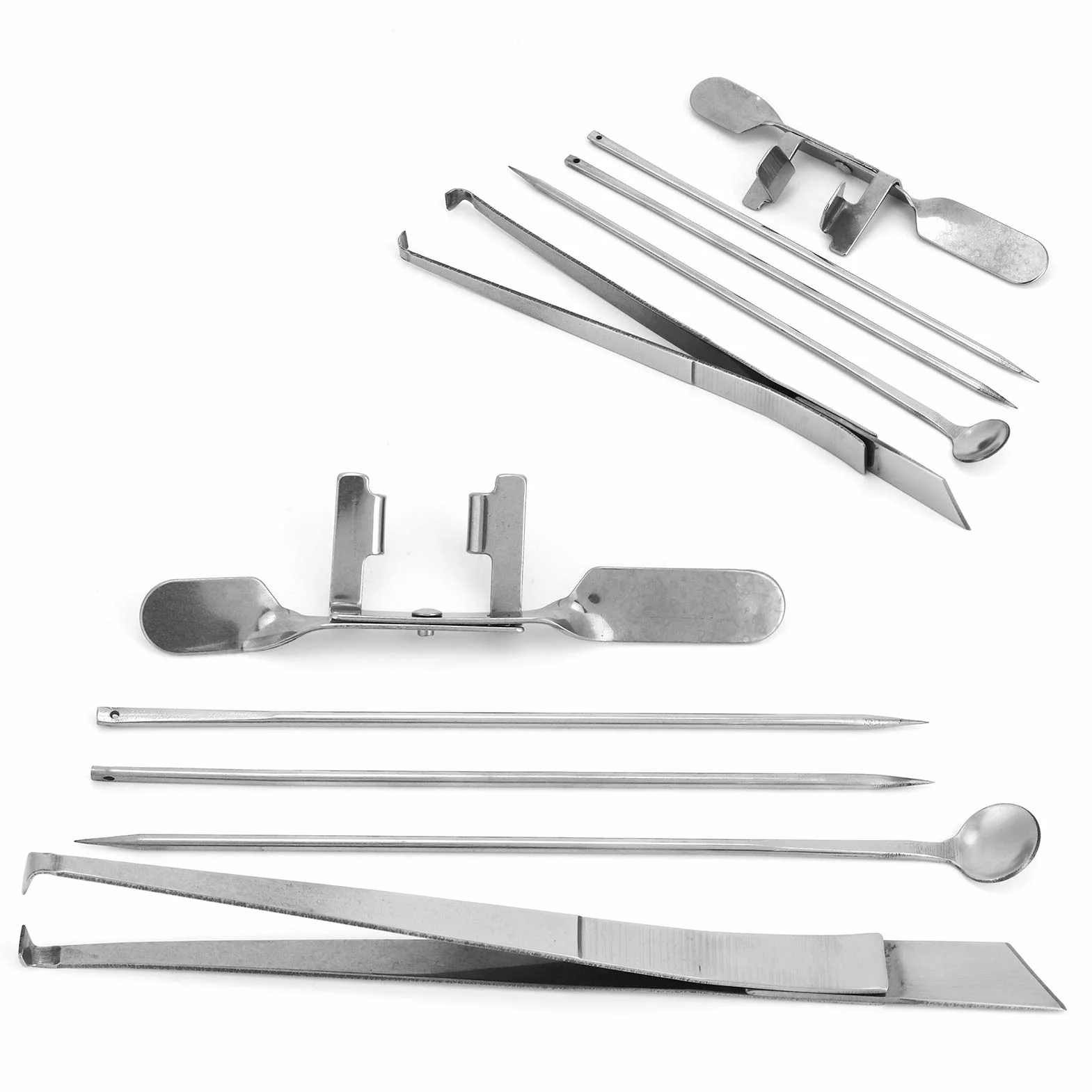 Kit D'outils pour Chapon de Poulet, Dispositif Vétérinaire en Acier Inoxydable, 5 Pièces