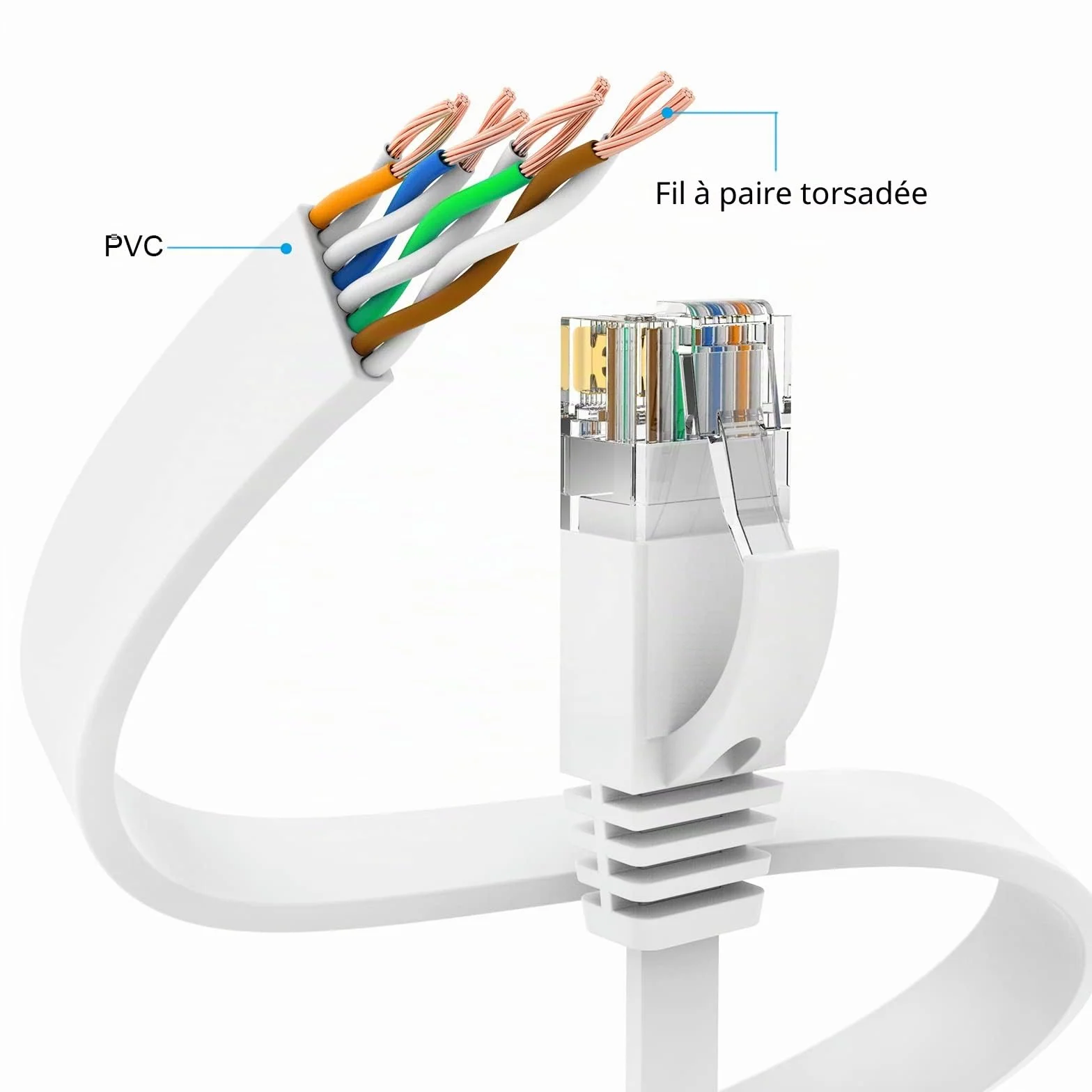 Ercielook Câble Ethernet 10m Cat6 RJ45 Plat LAN 1000 Mbit/s
